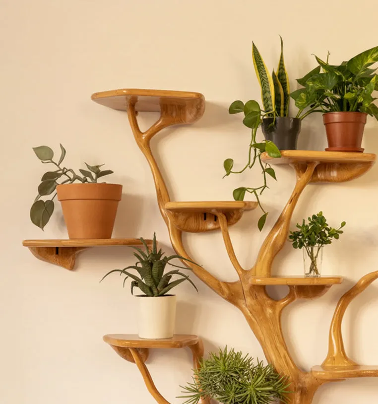 Tree Branch Wall Shelf – Solid Wood Floating Bookcase & Driftwood Décor - Image 2