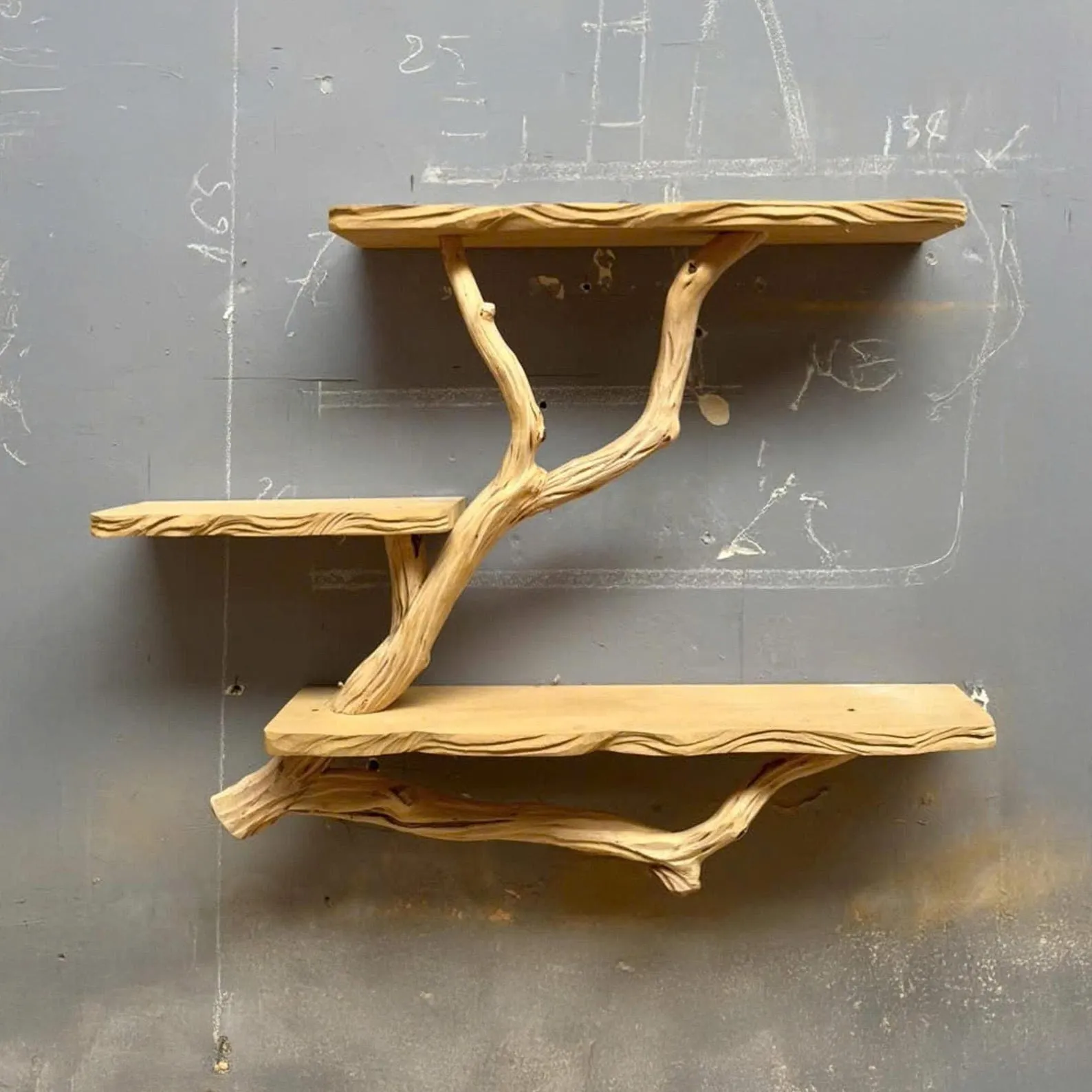 Tree branch book shelf floating book shelf wall mounted shelves reclaimed wood bookcase solid wood bookcase