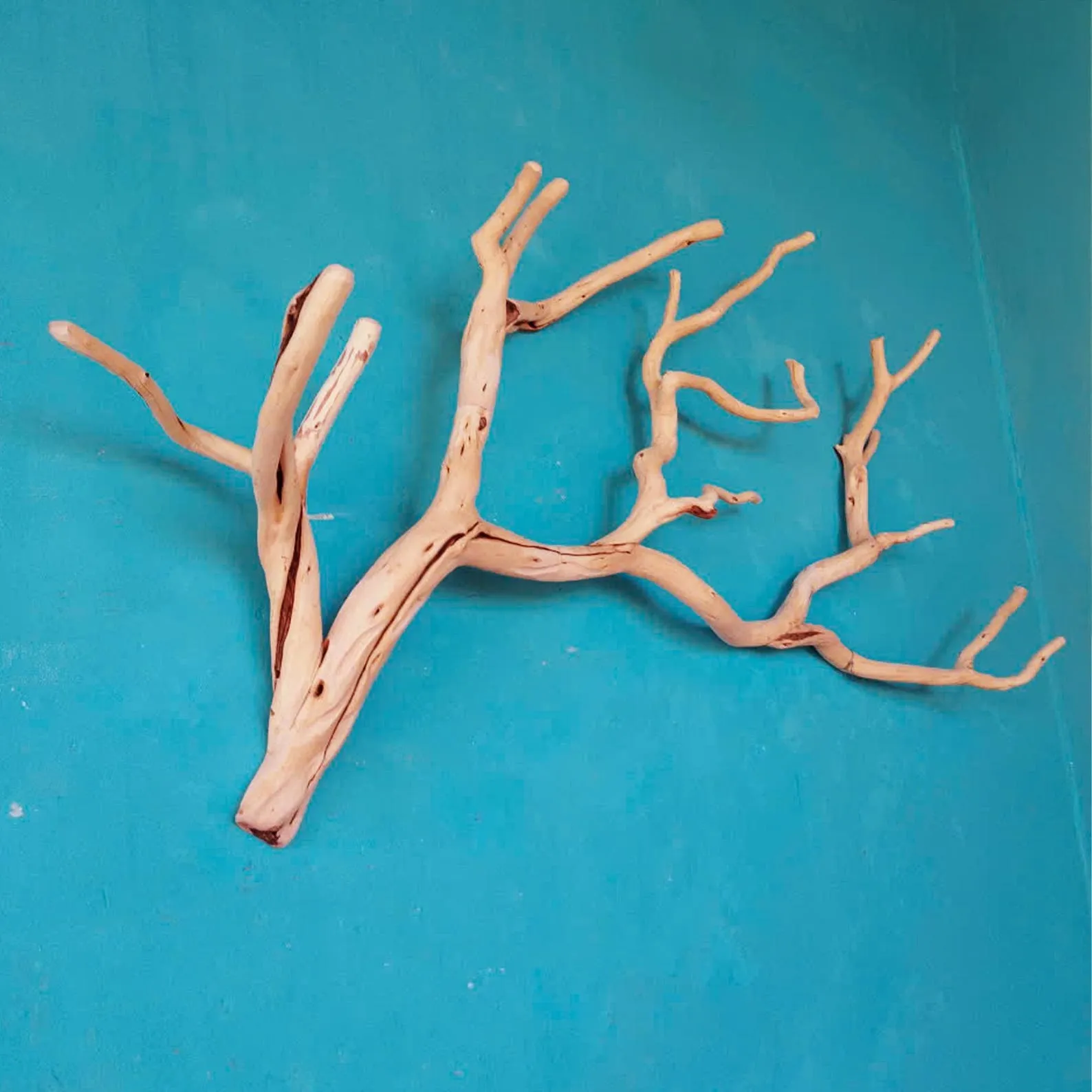 Tree branch wall mount coat rack natural driftwood wall art rustic clothing rack great gift for home decor