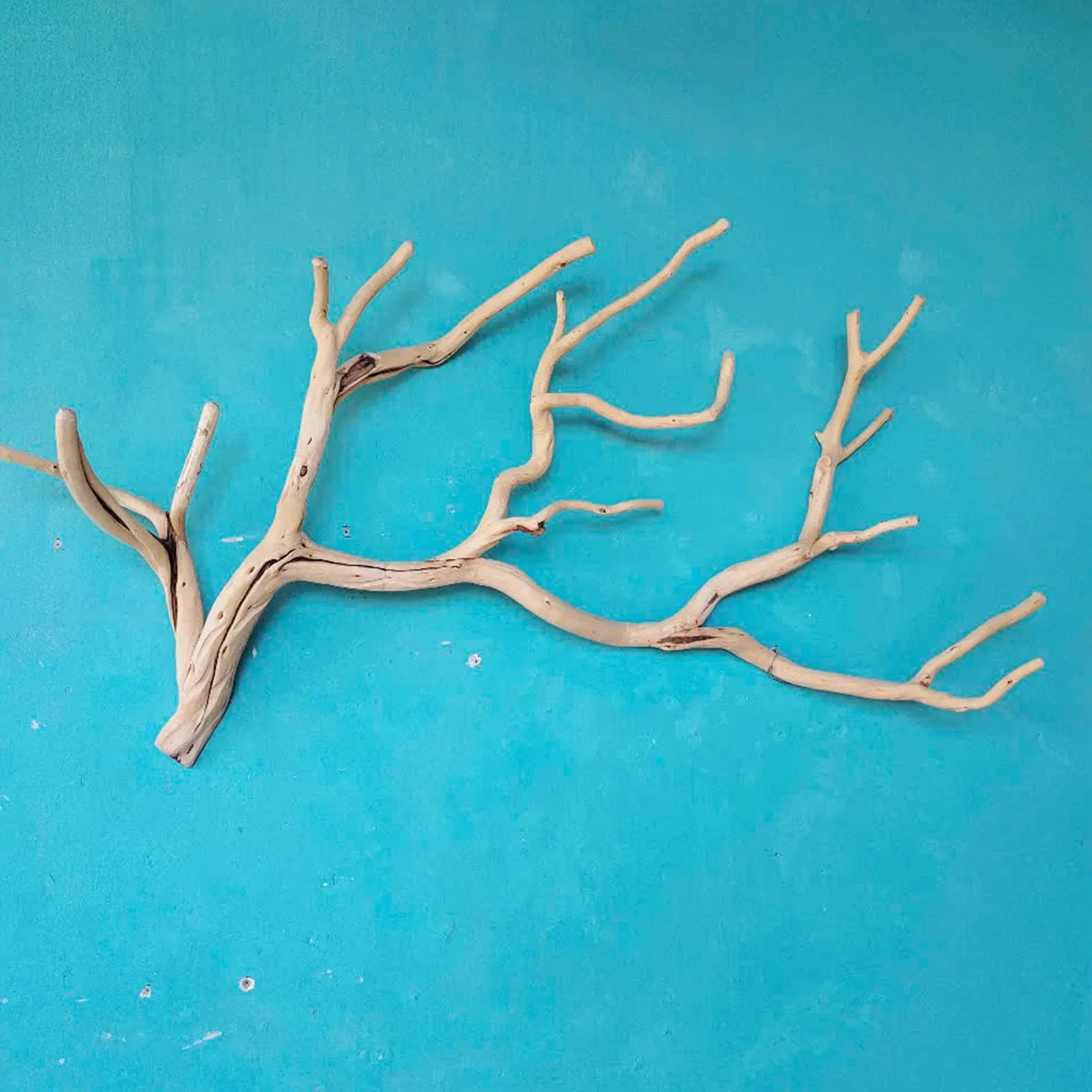 Tree branch wall mount coat rack natural driftwood wall art rustic clothing rack great gift for home decor - Image 3
