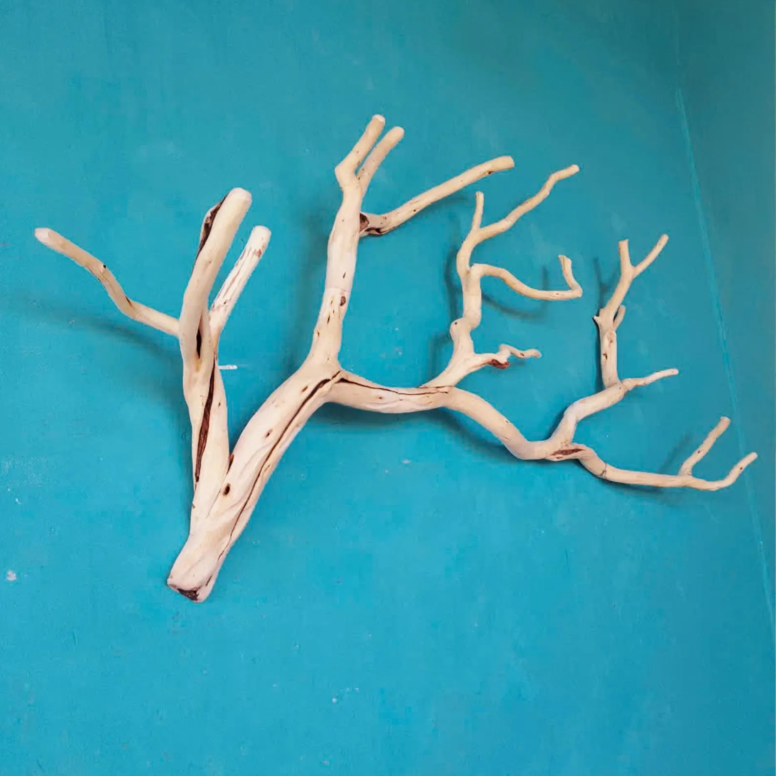 Tree branch wall mount coat rack natural driftwood wall art rustic clothing rack great gift for home decor - Image 4