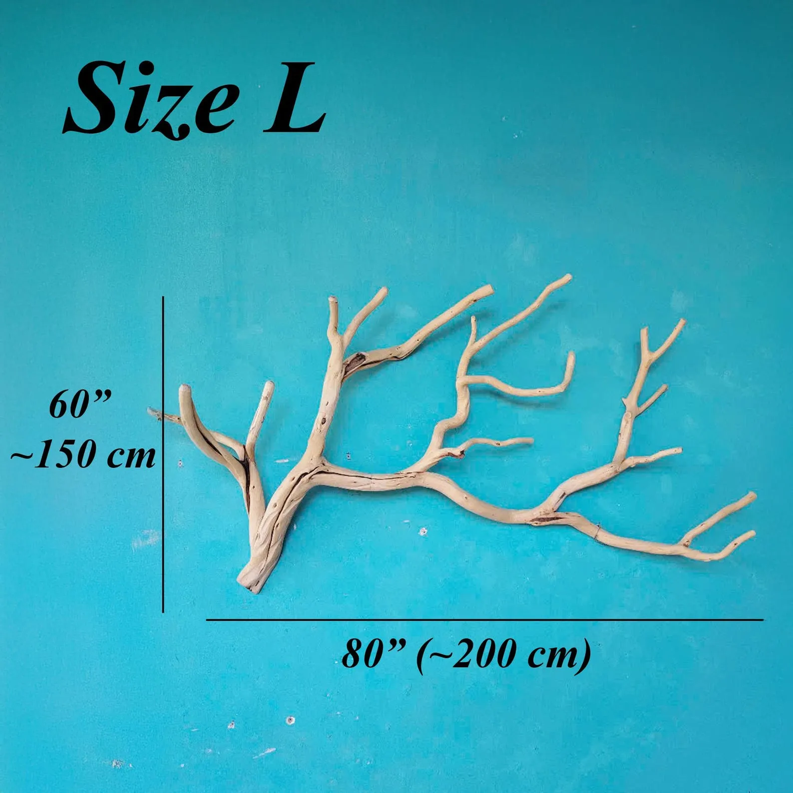 Tree branch wall mount coat rack natural driftwood wall art rustic clothing rack great gift for home decor - Image 5