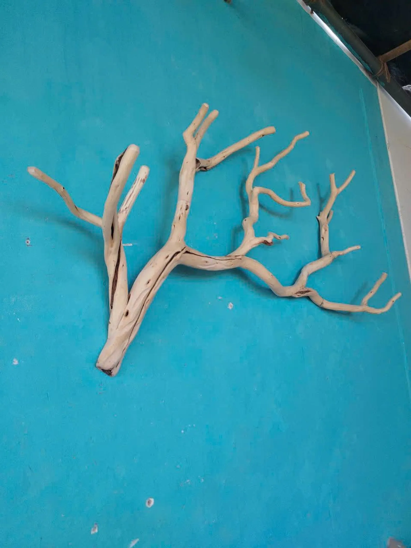 Tree branch wall mount coat rack natural driftwood wall art rustic clothing rack great gift for home decor - Image 8