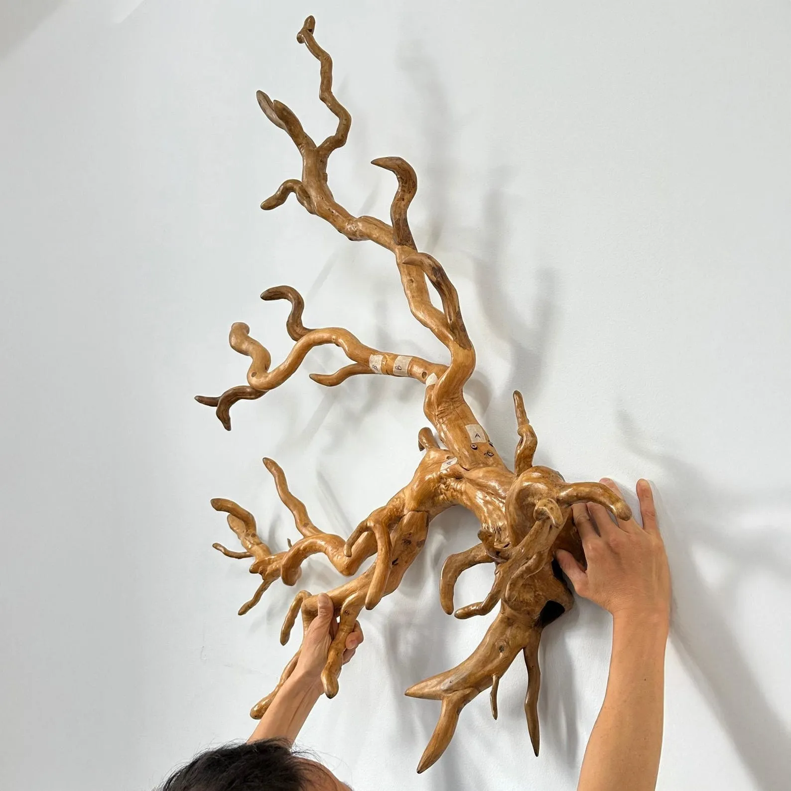 Wall mount driftwood branch coat rack natural tree branch coat hook hanging clothes decorative - Image 4