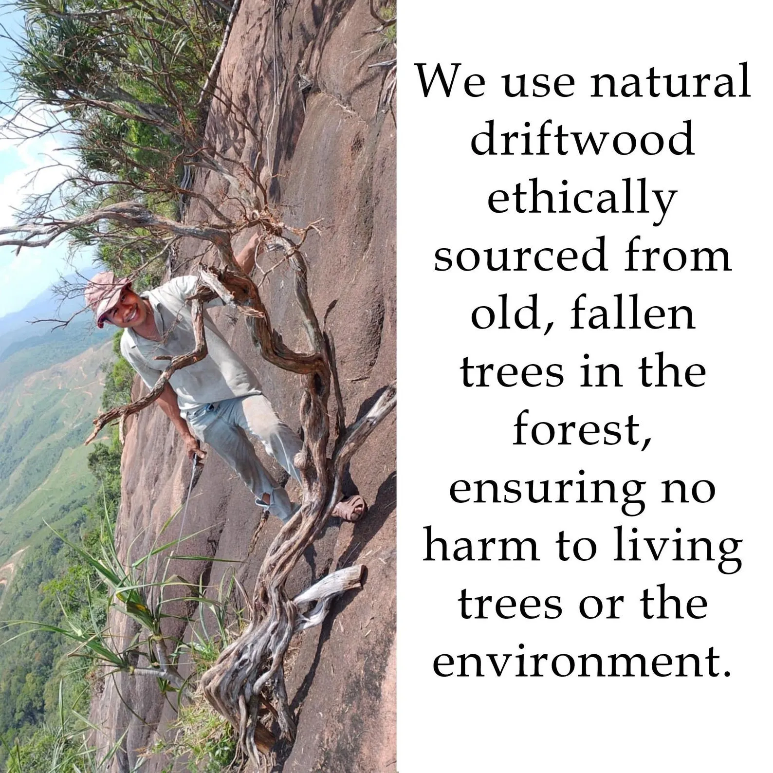 Tree branch coat rack free standing driftwood coat tree hooks branch hanging clothes rack unique handcrafted furniture - Image 10