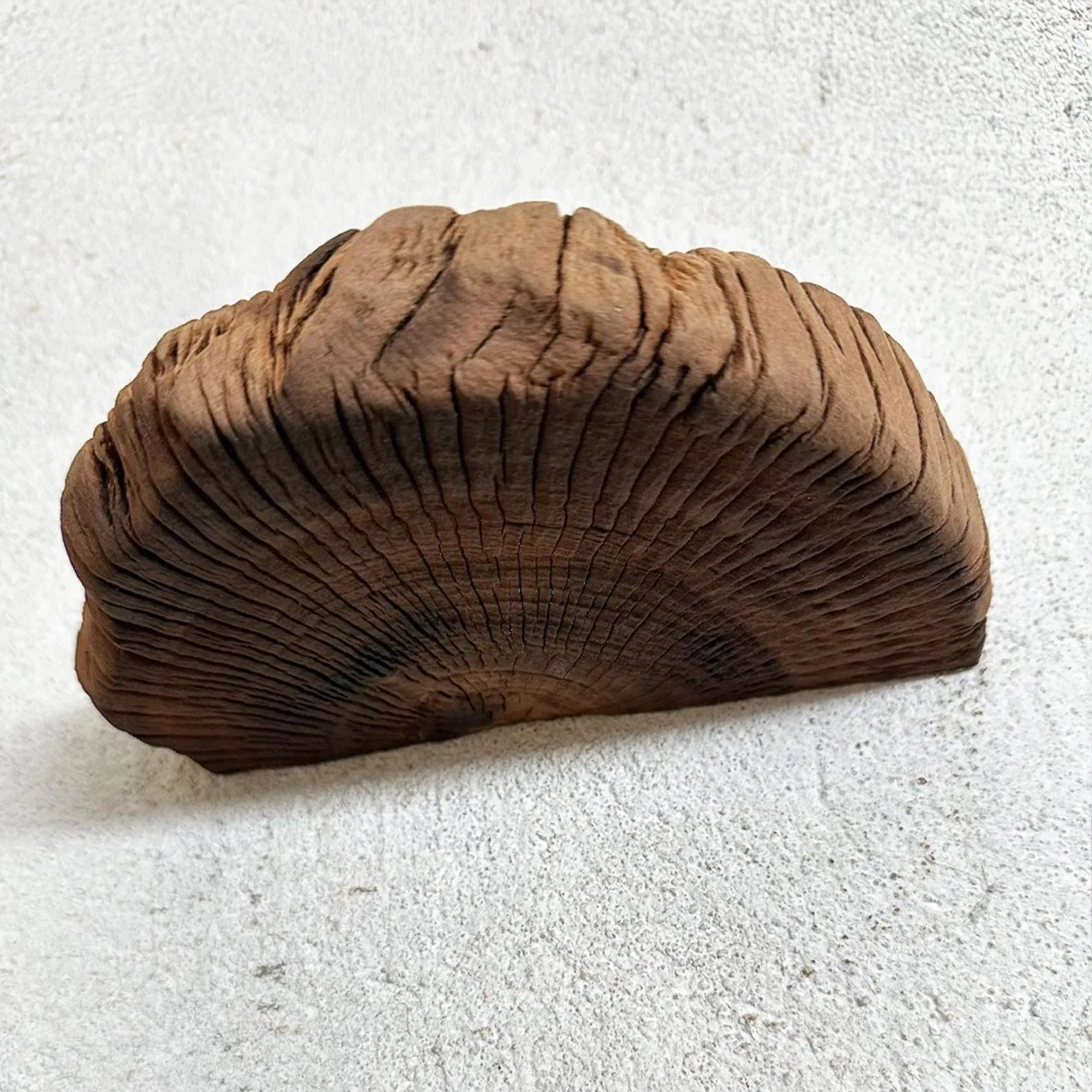 Small driftwood floating shelf unique wall bookshelf decor