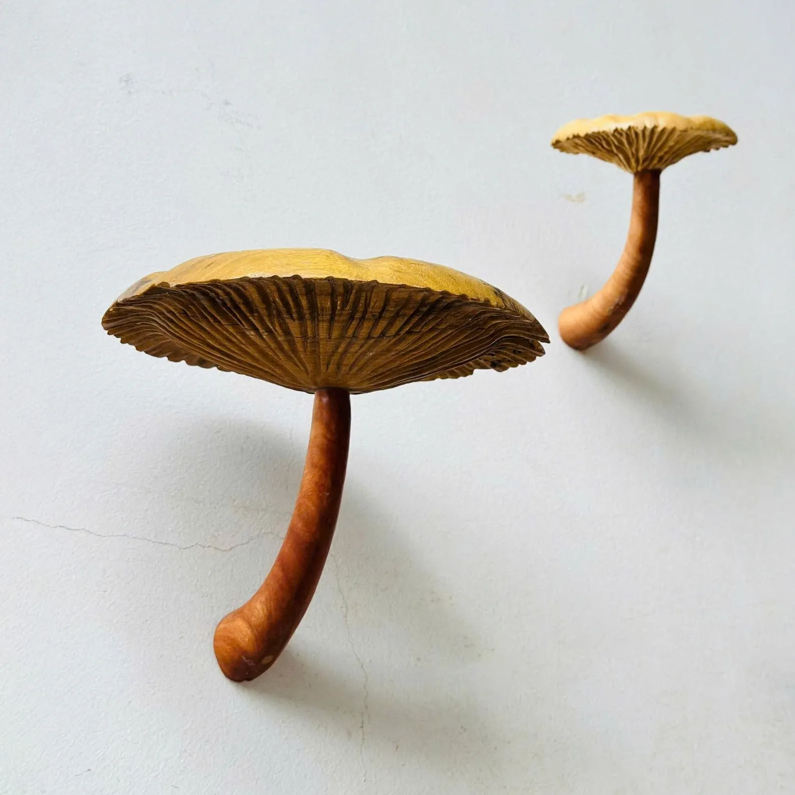 Solid wood mushroom floating shelf mushroom wall shelf whimsical hanging shelf floating plant shelf mushroom accessories decoration - Image 2