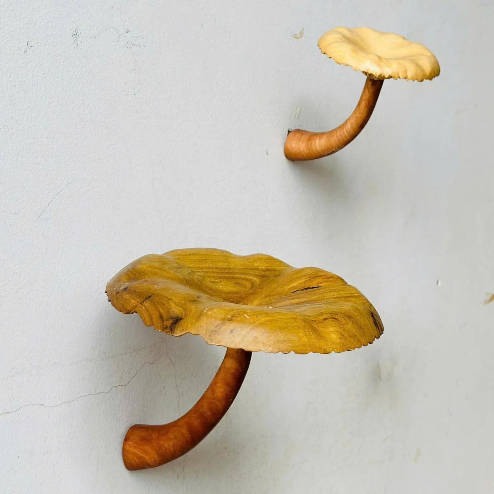 Solid wood mushroom floating shelf mushroom wall shelf whimsical hanging shelf floating plant shelf mushroom accessories decoration - Image 4