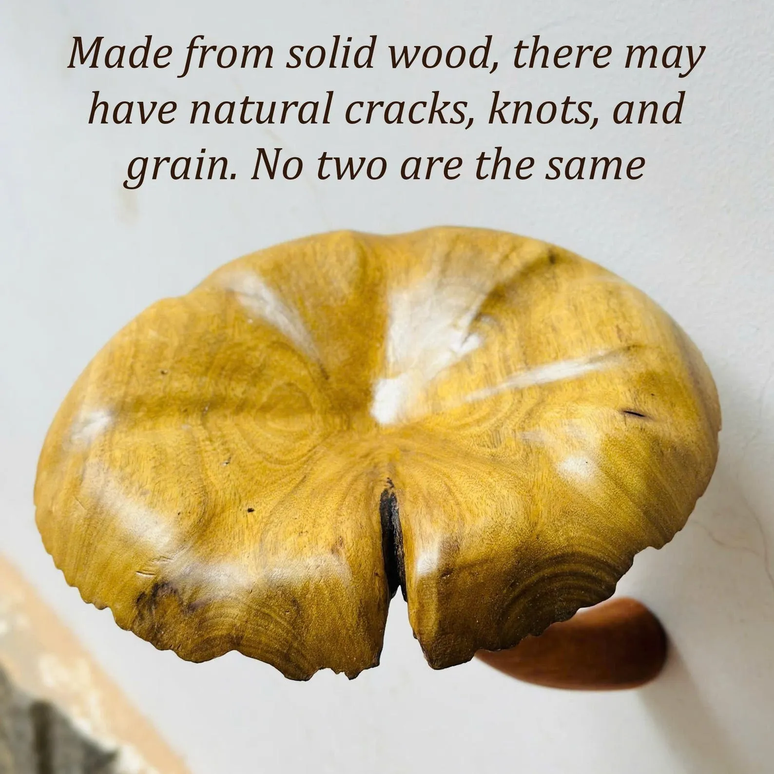 Solid wood mushroom floating shelf mushroom wall shelf whimsical hanging shelf floating plant shelf mushroom accessories decoration - Image 5