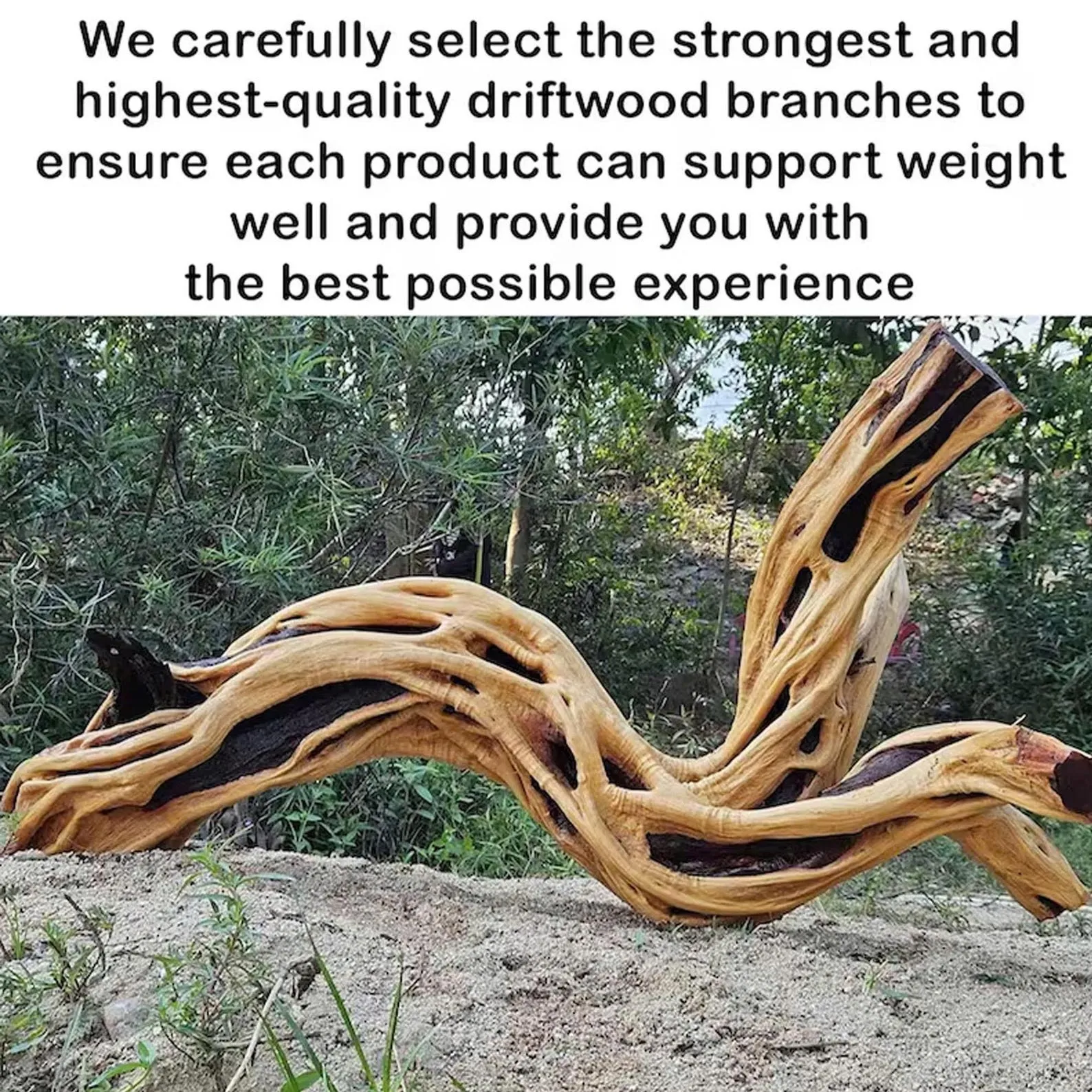 Driftwood tree branch coat rack driftwood coat hook solid wood wall mount shoe storage wood branch - Image 8