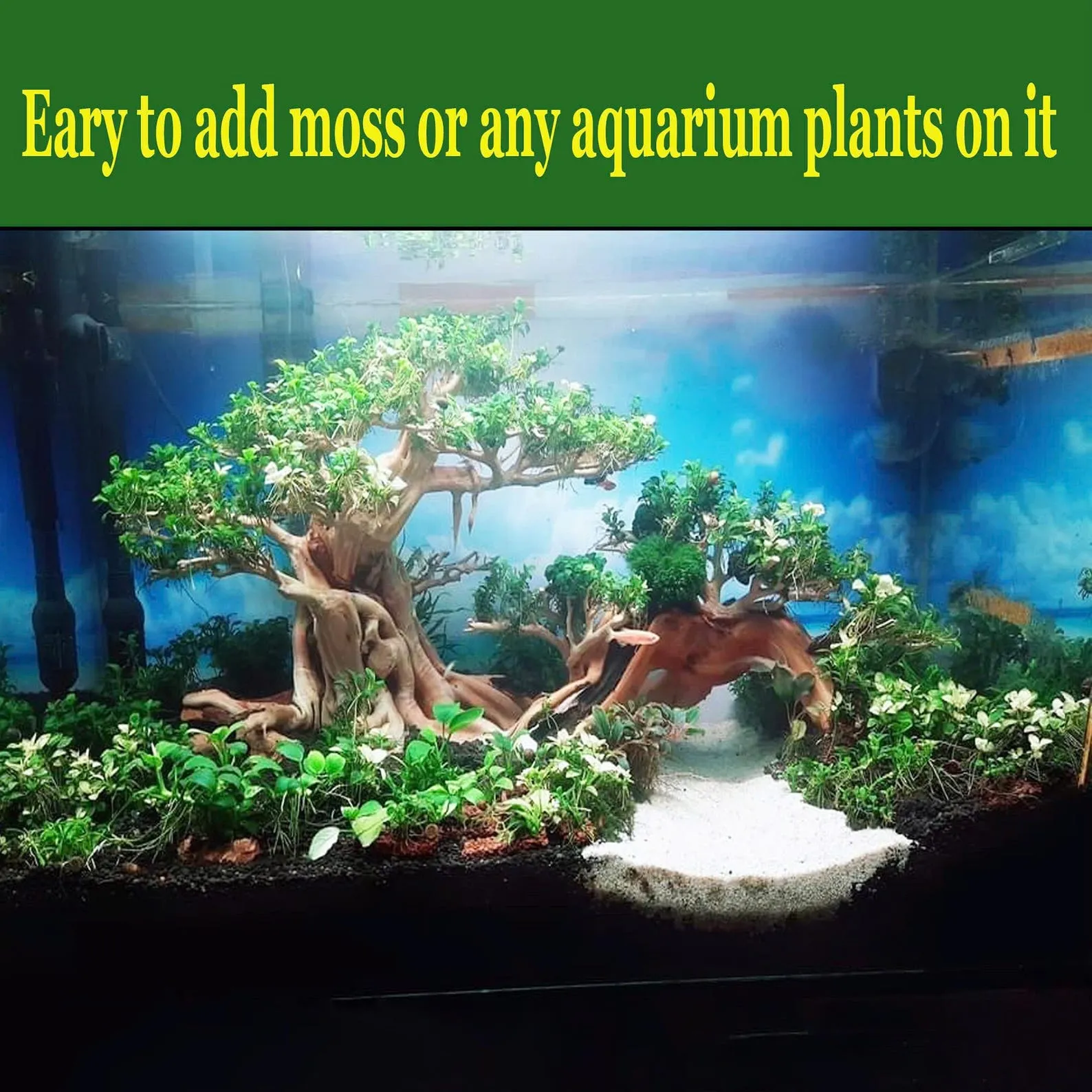 Driftwood aquarium bonsai large aquascape hardscape tree terrarium wood real fish tank decor - Image 3
