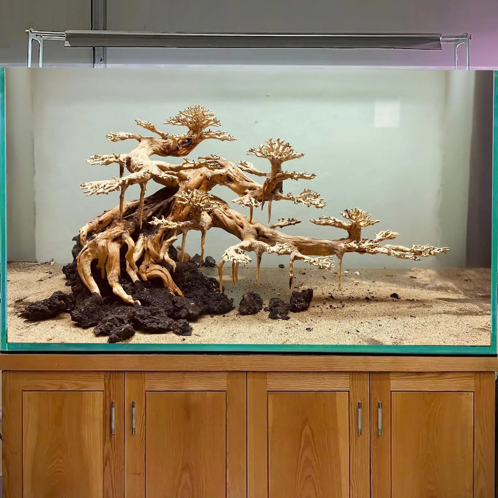 Aquarium driftwood tree aquascaping stone aquascape bonsai wood hardscape plants for fish tank decorations