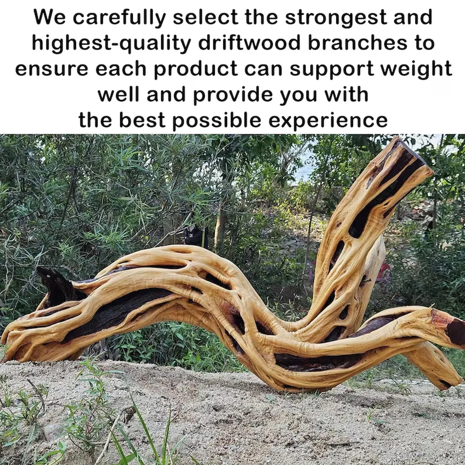 Natural tree coat rack wall mount coat hook tree branch bookshelf shoe storage driftwood branch hanger living room decoration - Image 5