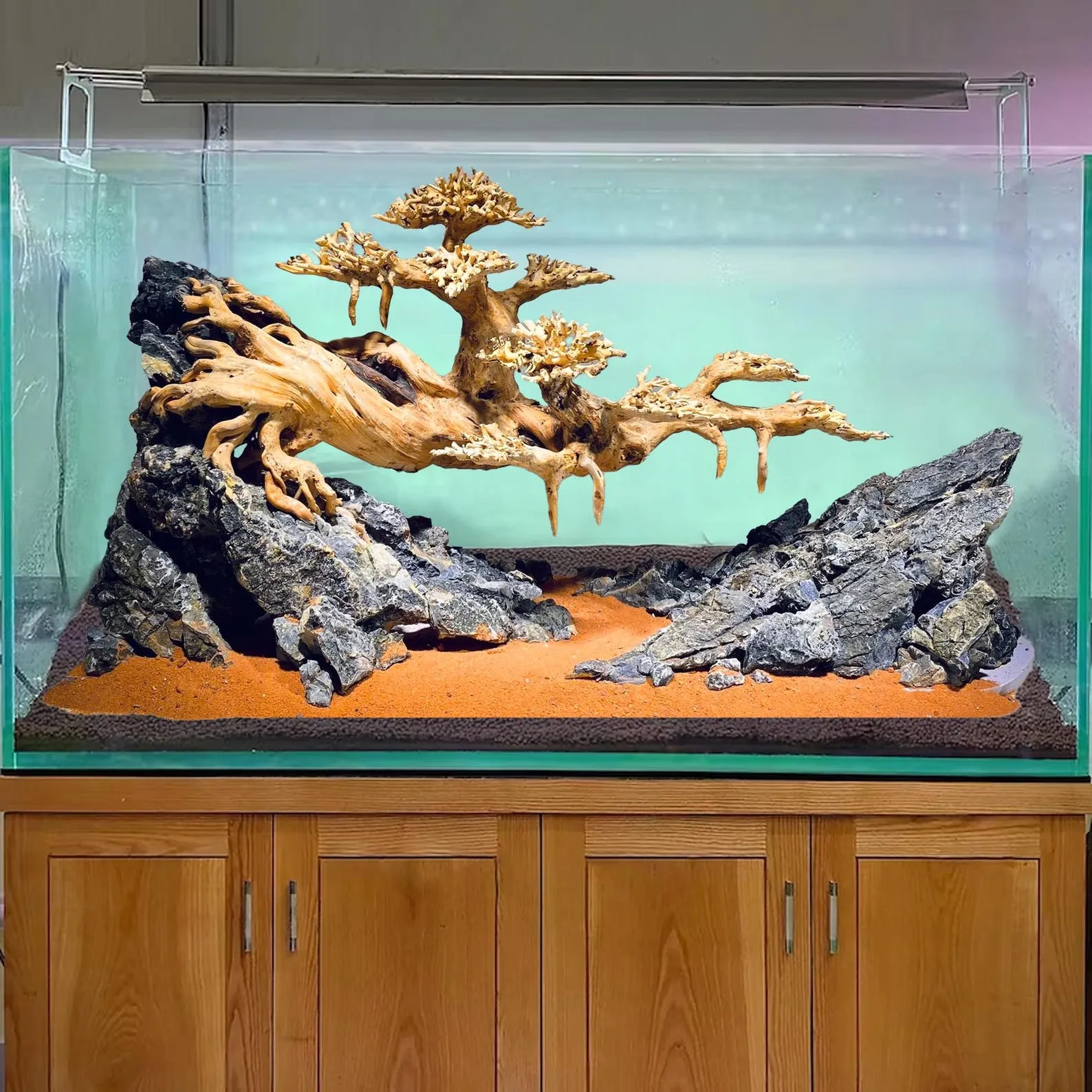 Bonsai driftwood aquarium aquascape stone hardscape fish tank decor