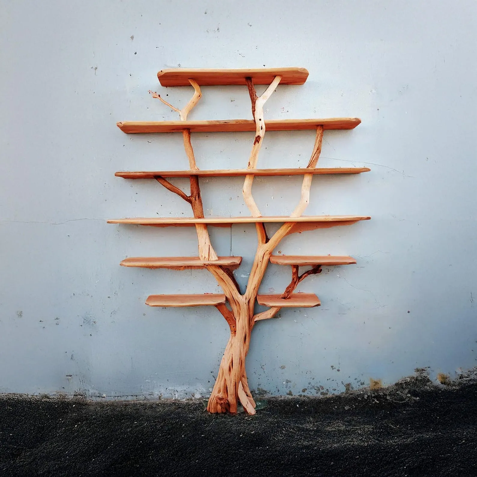 Tree branch bookshelf solid wood shelves on wall driftwood handcrafted for home decoration