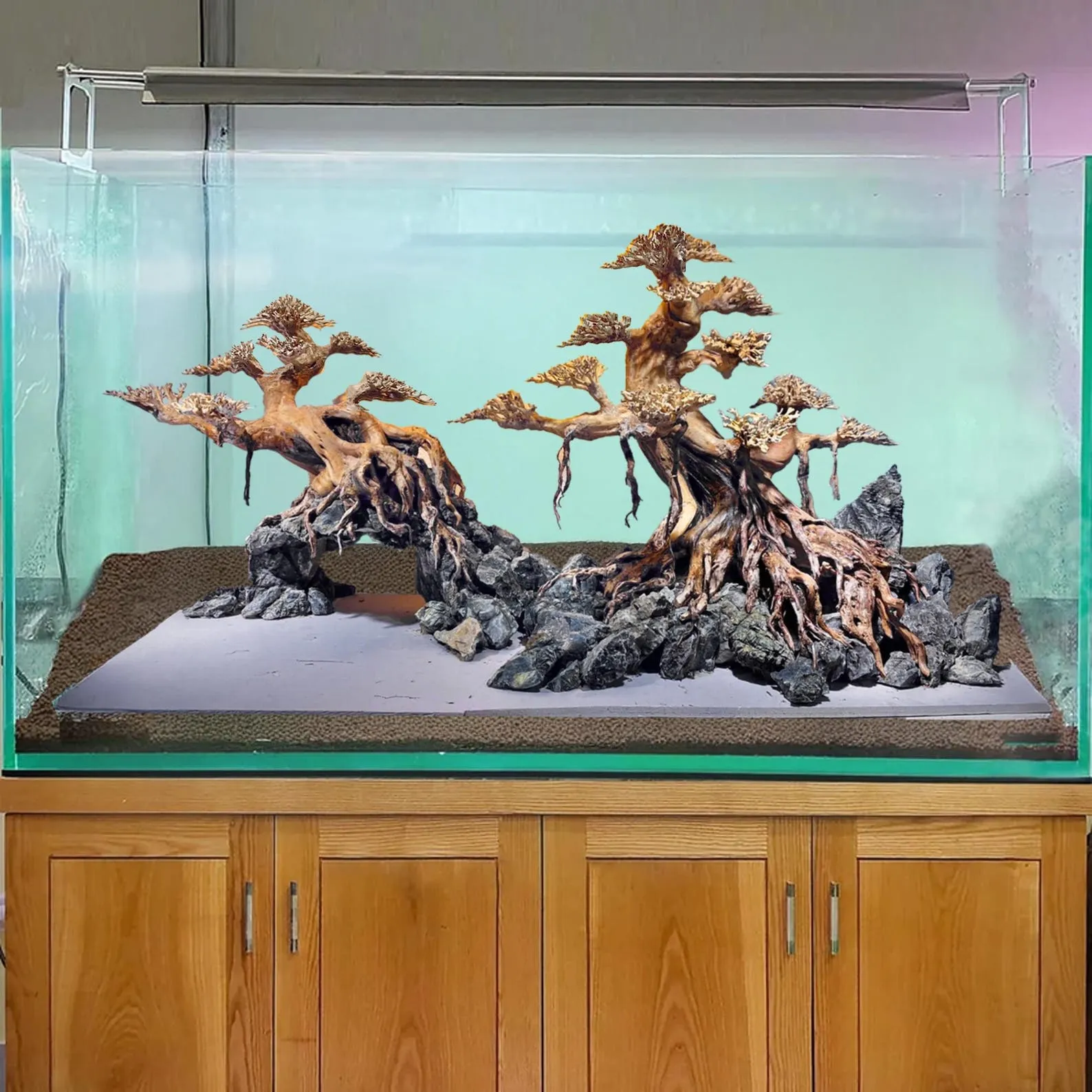 Driftwood bonsai tree aquascape hardscape aquarium rock fish tank decoration