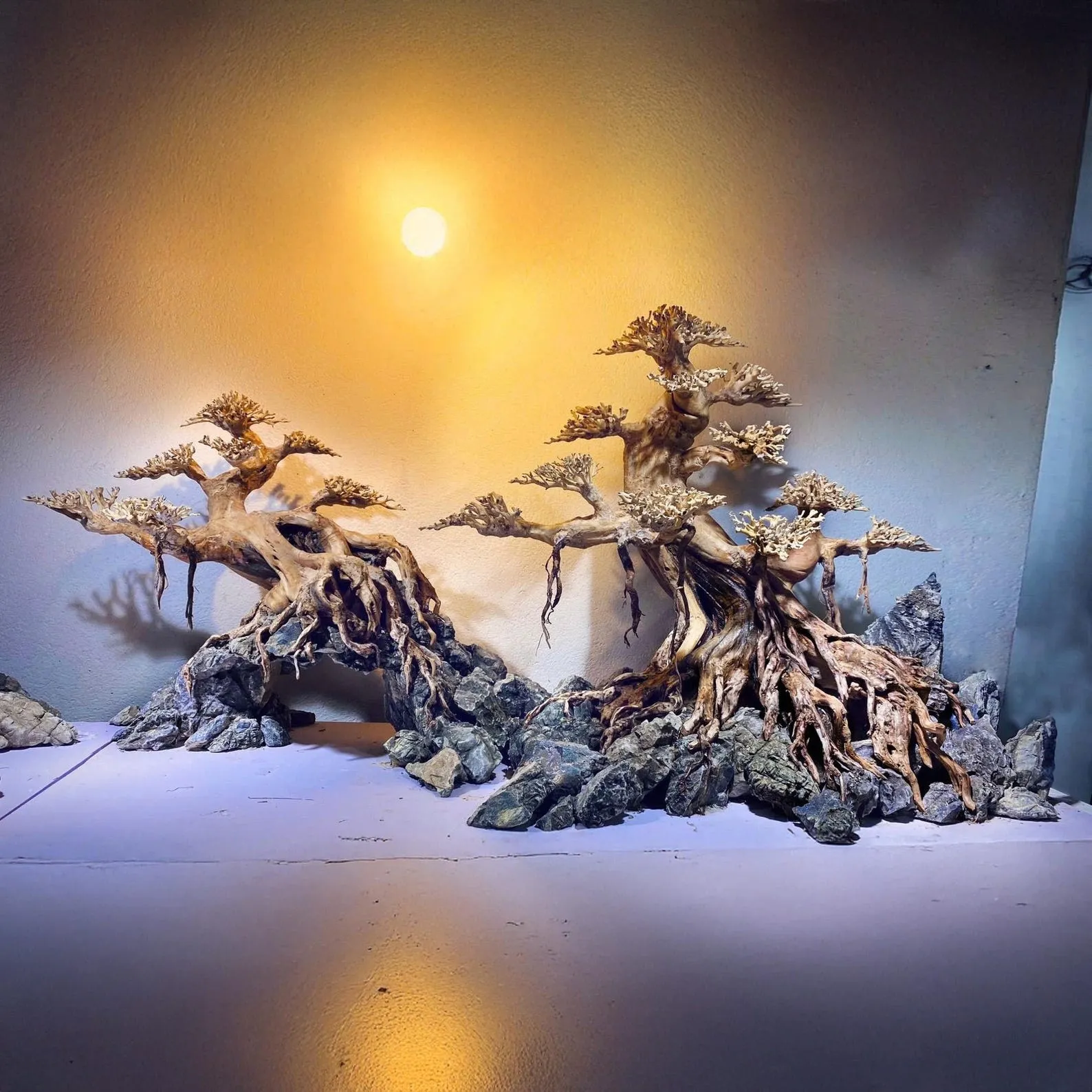 Driftwood bonsai tree aquascape hardscape aquarium rock fish tank decoration - Image 2