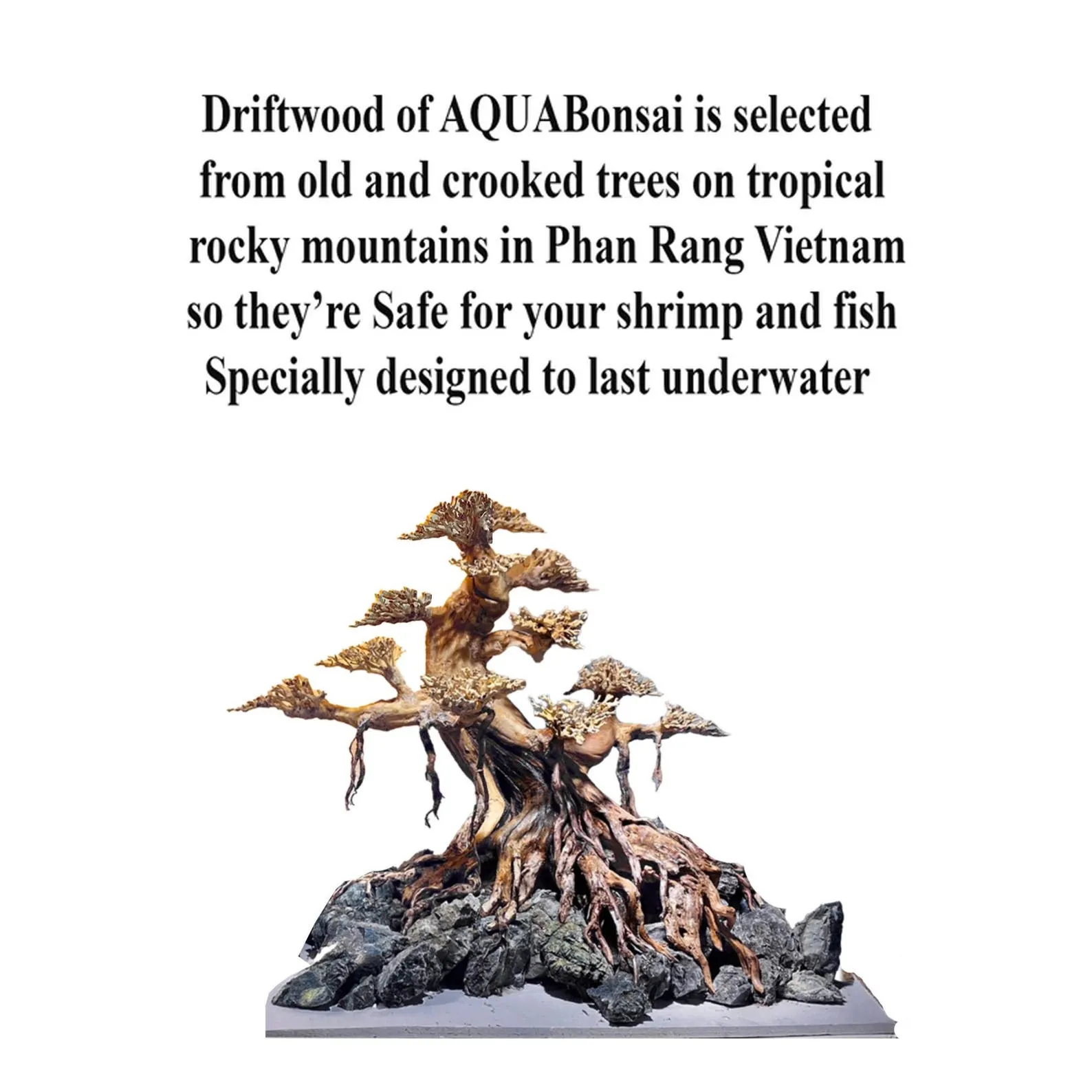 Driftwood bonsai tree aquascape hardscape aquarium rock fish tank decoration - Image 4