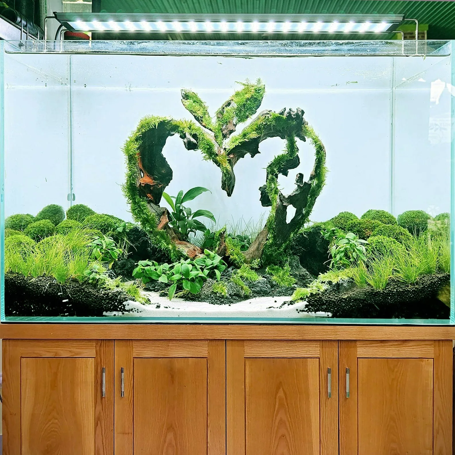 Natural aquarium driftwood aquascape cave fish tank decor hardscape