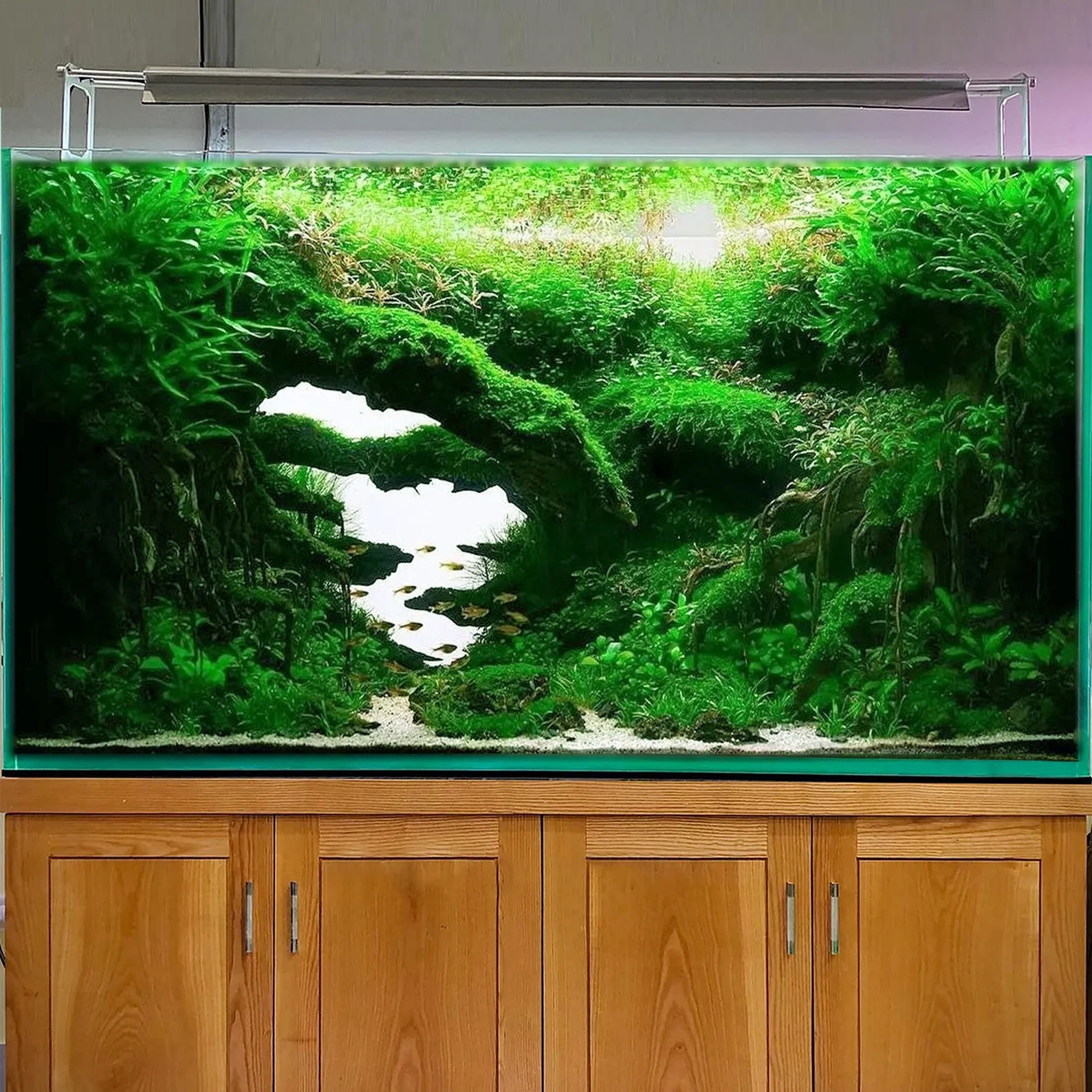 Aquascape driftwood aquarium bonsai aquascaping wood cave fish tank decor