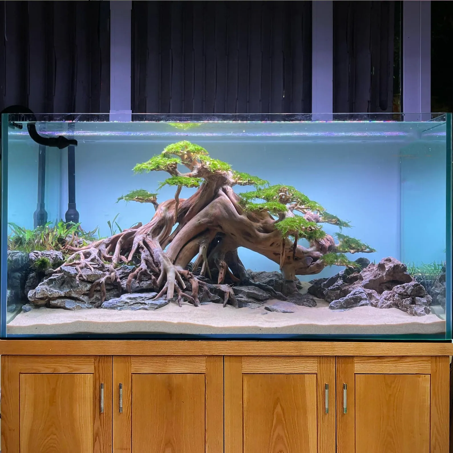 Aquascape aquarium driftwood large bonsai aquascaping decor hardscape real drift wood fish tank plants