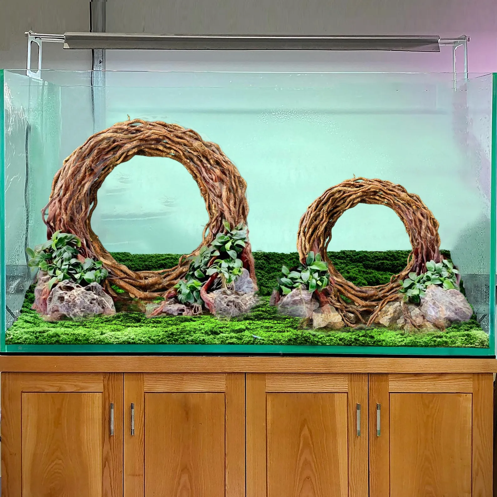 Aquarium driftwood bonsai aquascape hardscape wood decor fish tank plants