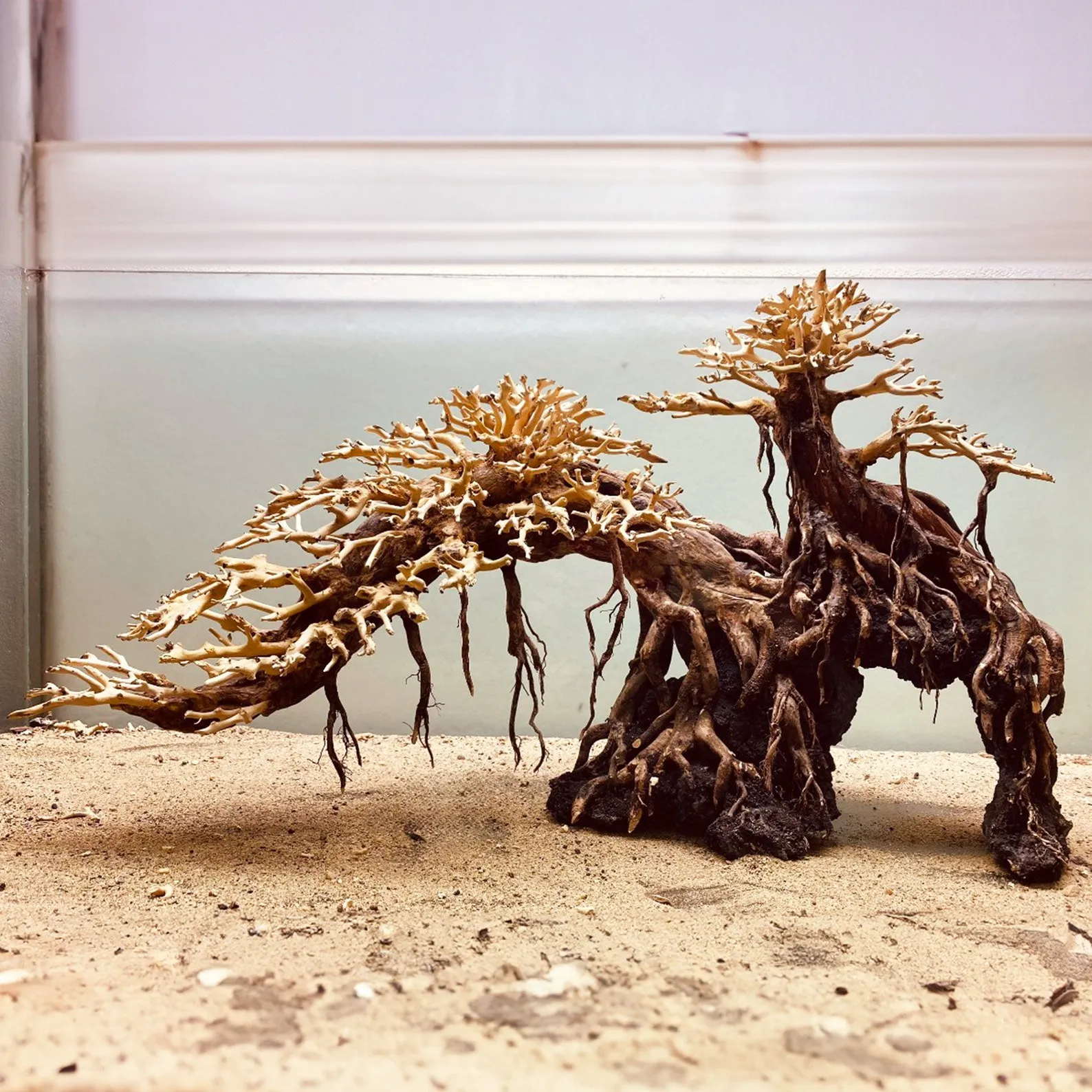 Bonsai driftwood aquarium aquascape rock bonzai tree for fish tank decoration