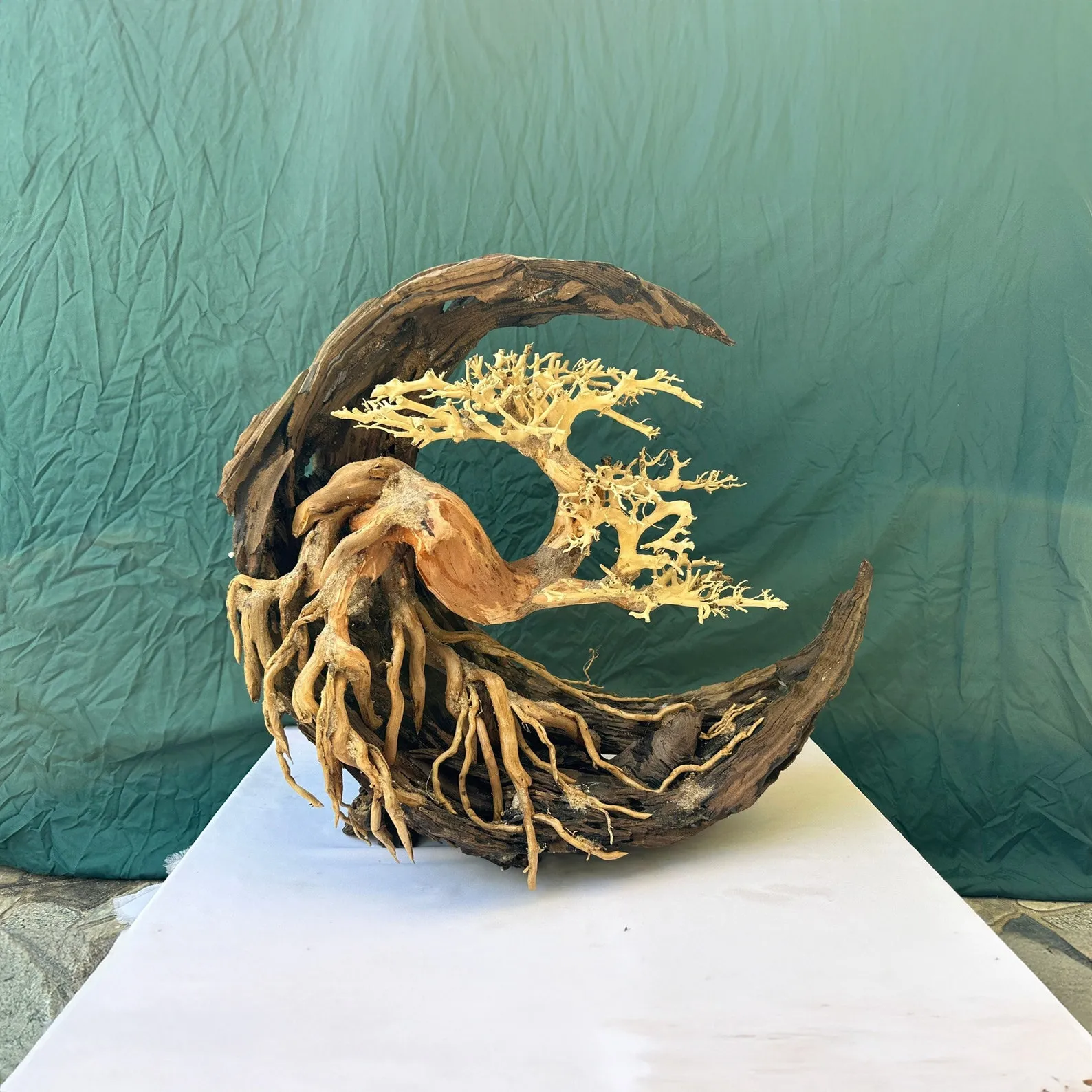 Driftwood for aquarium bonsai tree aquascape hardscape  fish tank plants decorations