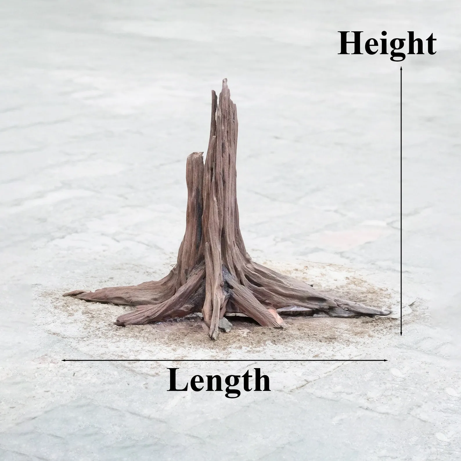 Aquarium tree stump driftwood bonsai rustic wood aquascaping hardscape bonsai fish tank decoration - Image 10