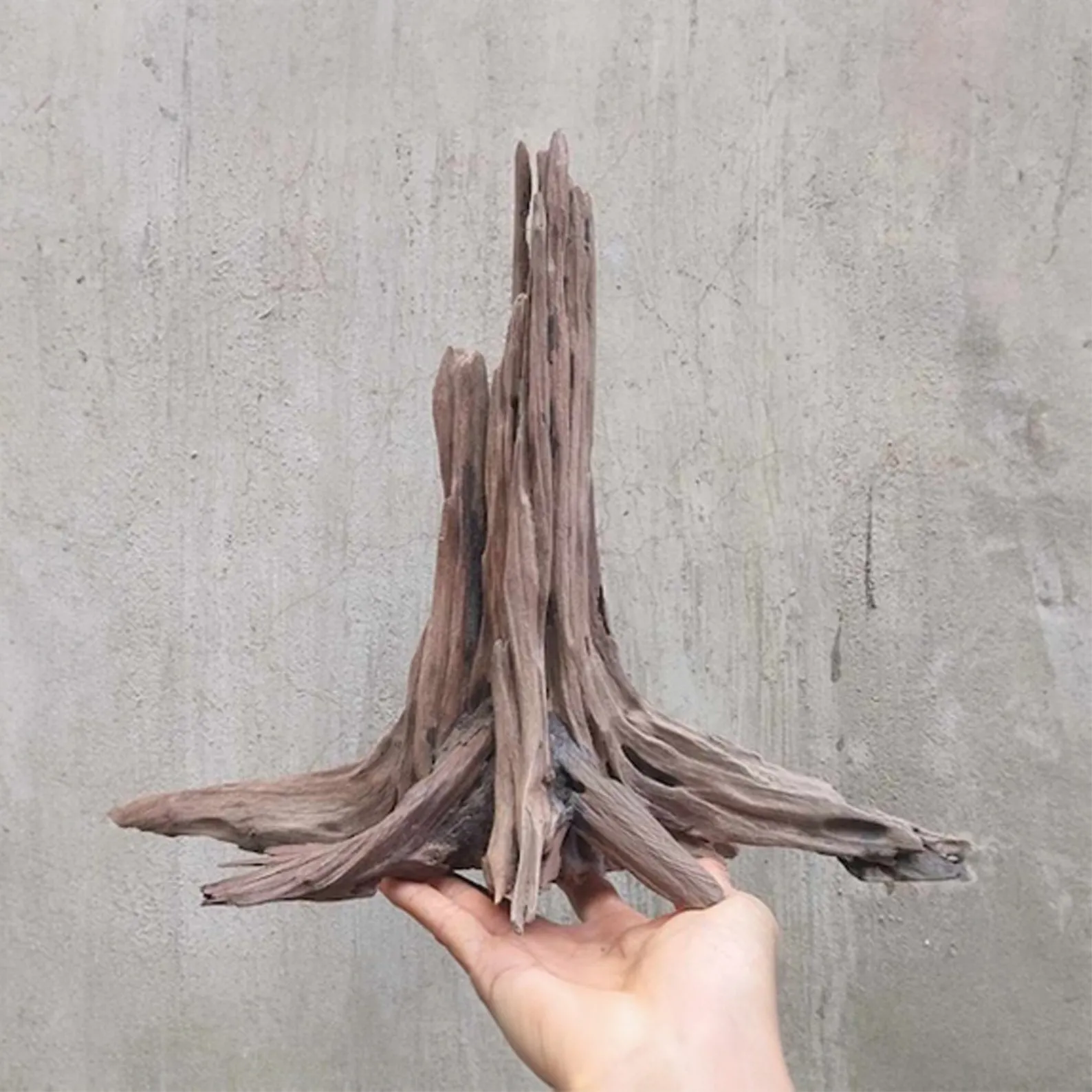 Aquarium tree stump driftwood bonsai rustic wood aquascaping hardscape bonsai fish tank decoration - Image 3