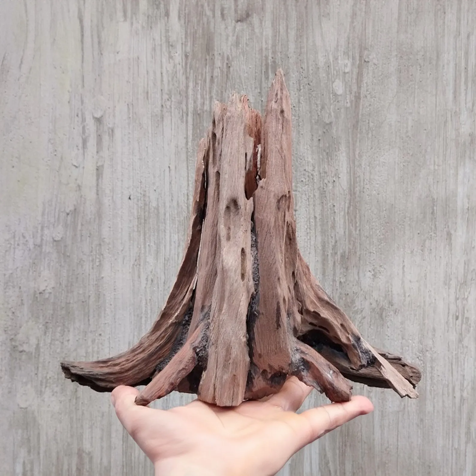 Aquarium tree stump driftwood bonsai rustic wood aquascaping hardscape bonsai fish tank decoration - Image 4