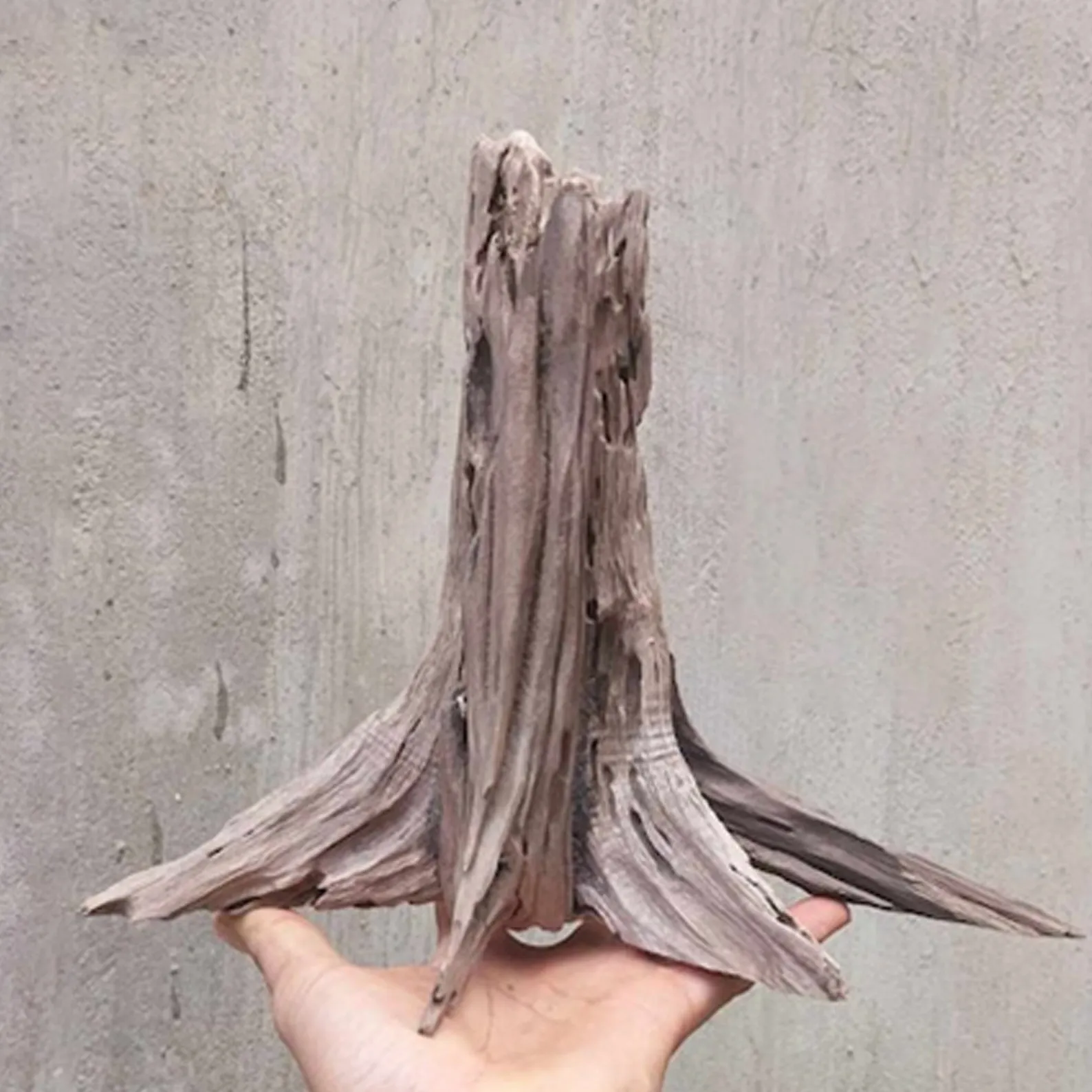 Aquarium tree stump driftwood bonsai rustic wood aquascaping hardscape bonsai fish tank decoration - Image 9