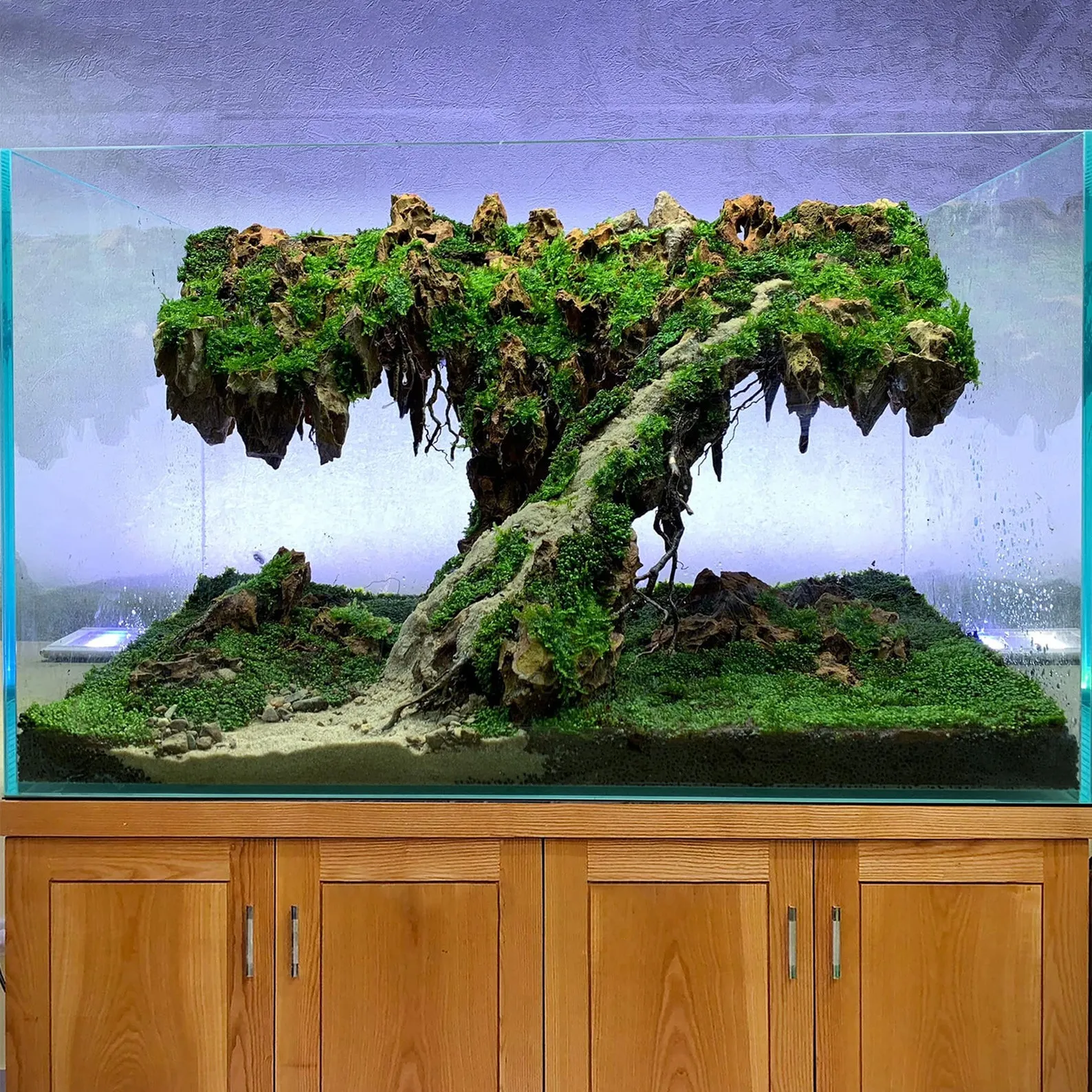 Aquarium rocks bonsai aquascape hardscape driftwood fish tank decorations