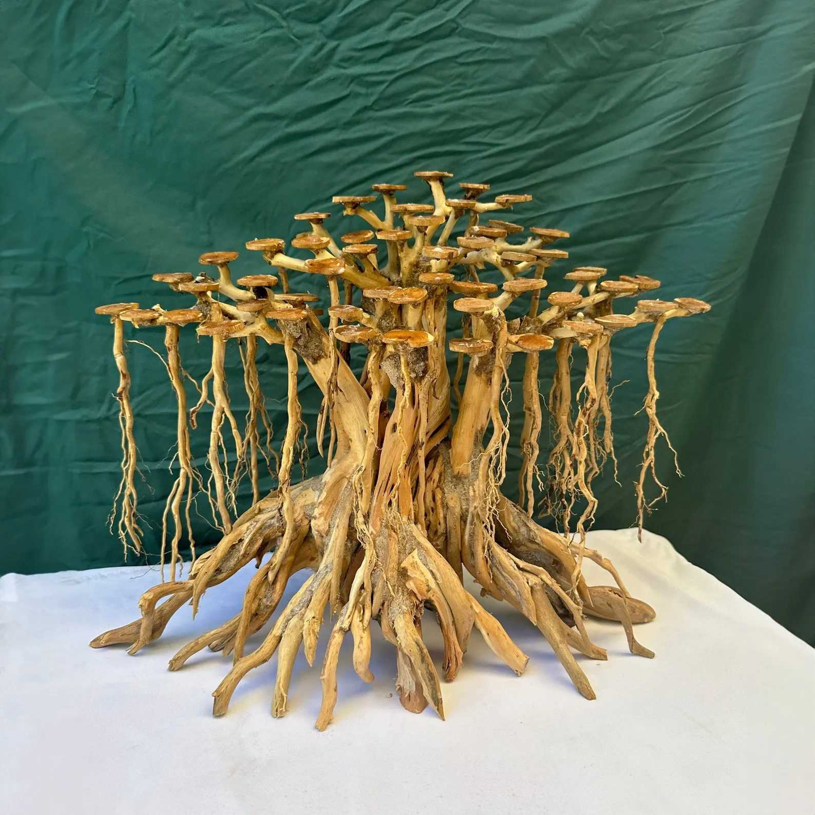 Aquarium driftwood bonsai tree aquascape wood plants for fish tank decorations