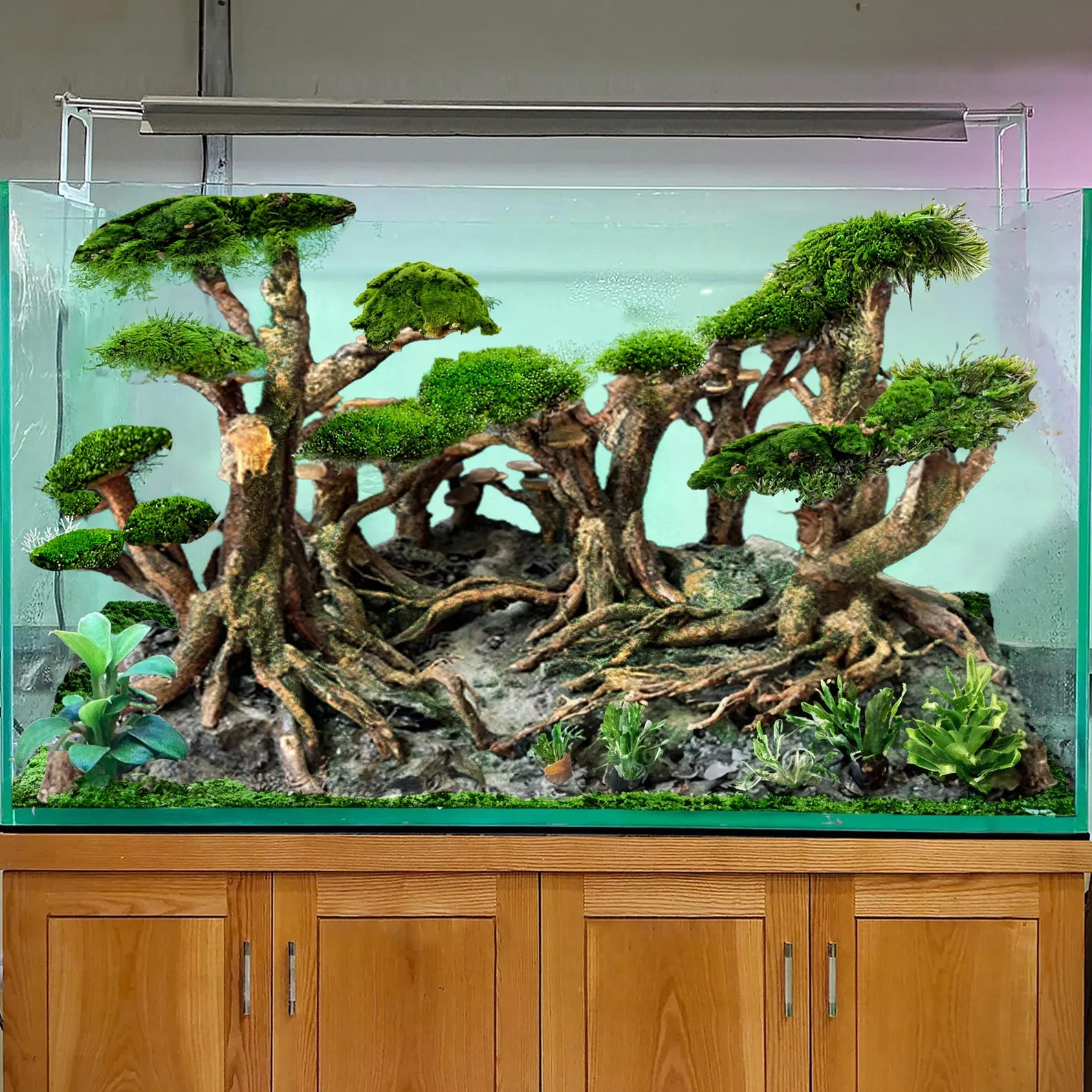 Aquarium driftwood bonsai tree aquascape plants for fish tank decorations