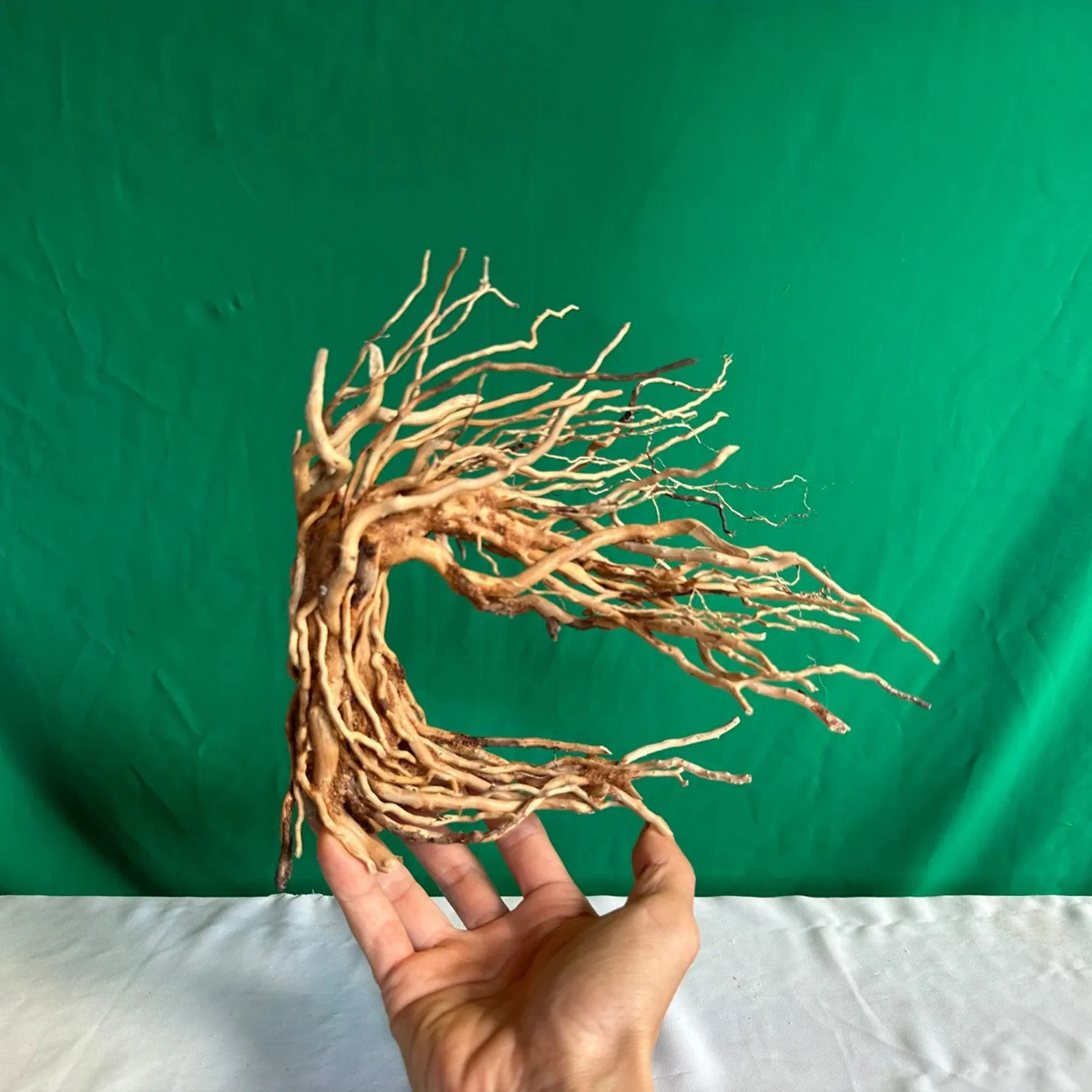 Bonsai drift wood aquarium hardscape aquascape decoration fish tank plants