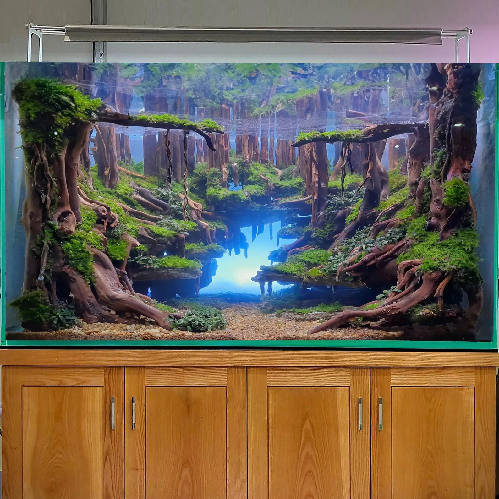 Aquascape hardscape aquarium driftwood stump decor fish tank background