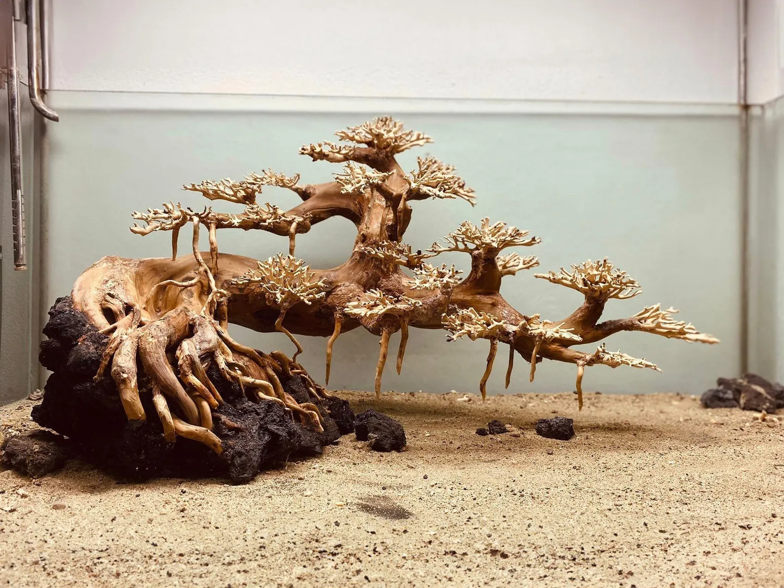 Bonsai aquarium aquascape driftwood bonzai tree decor fish tank background