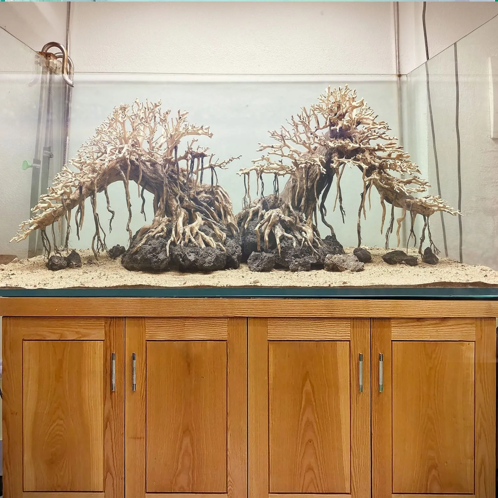 Bonsai driftwood aquarium tree aquascape hardscape fish tank decorations made to order