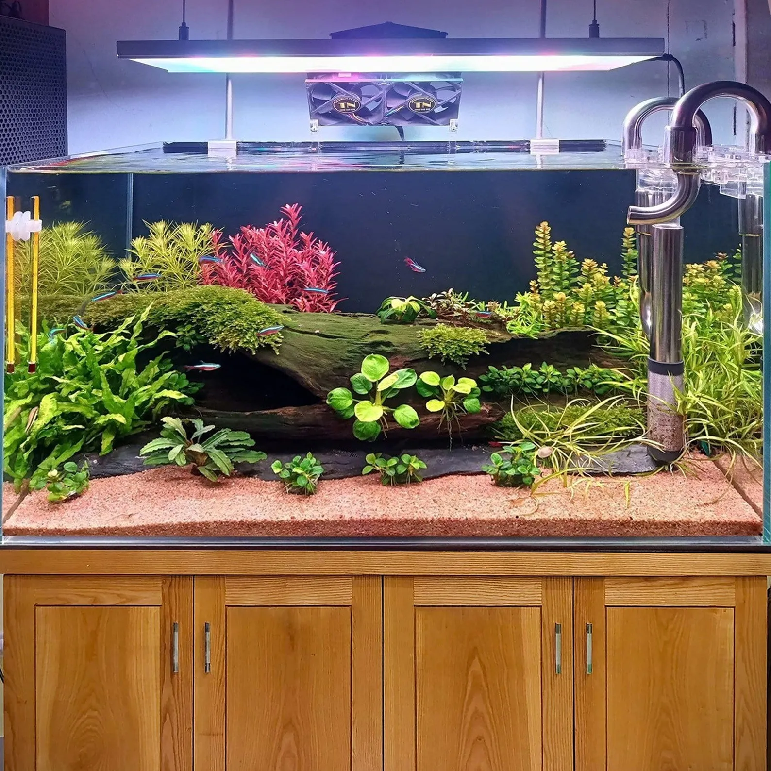 Hollow driftwood log aquarium hide drift wood cave fish tank decorations custom any size - Image 2