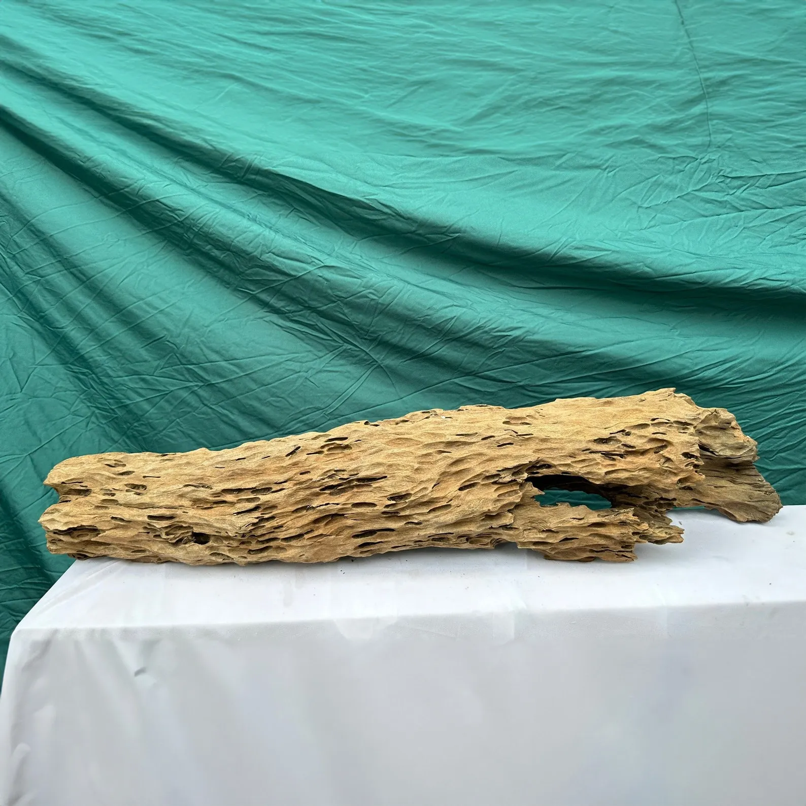 Hollow driftwood log aquarium hide drift wood cave fish tank decorations custom any size - Image 3