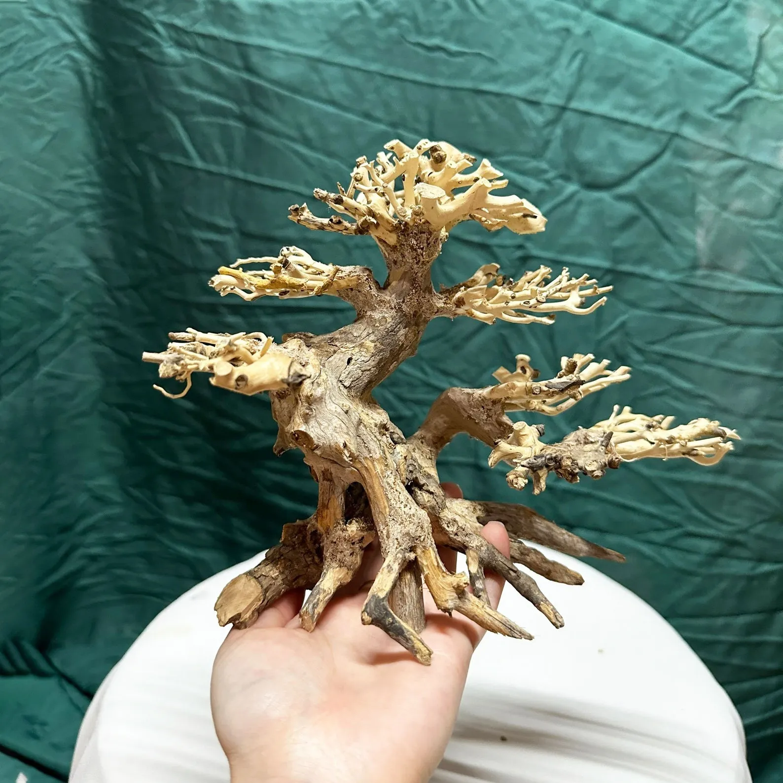 Bonsai driftwood aquarium tree aquascape hardscape decoration fish tank plants