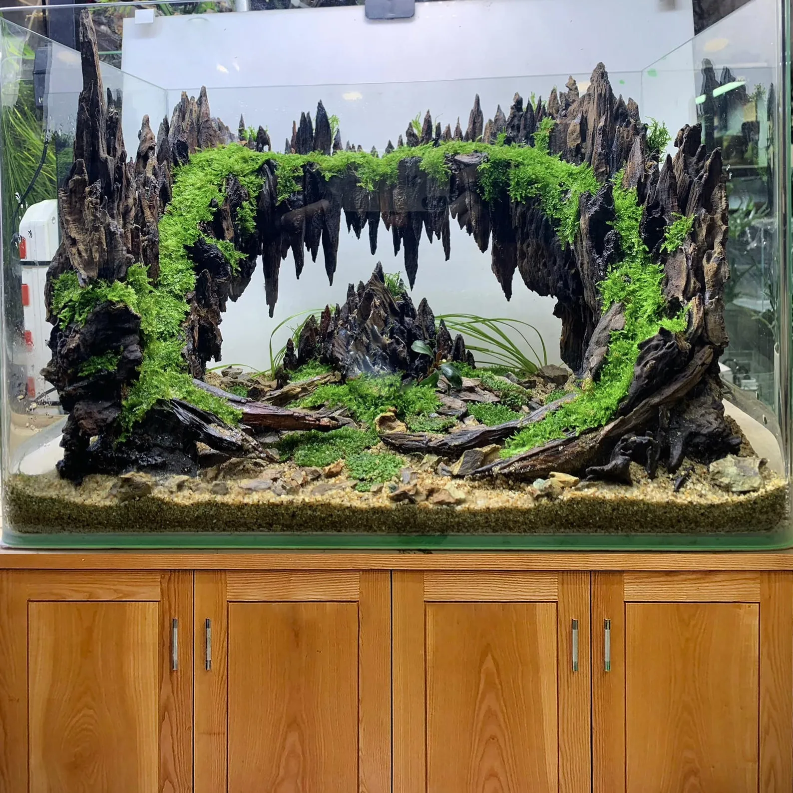 Aquarium driftwood large aquascape bonsai drift wood cave fish tank decor