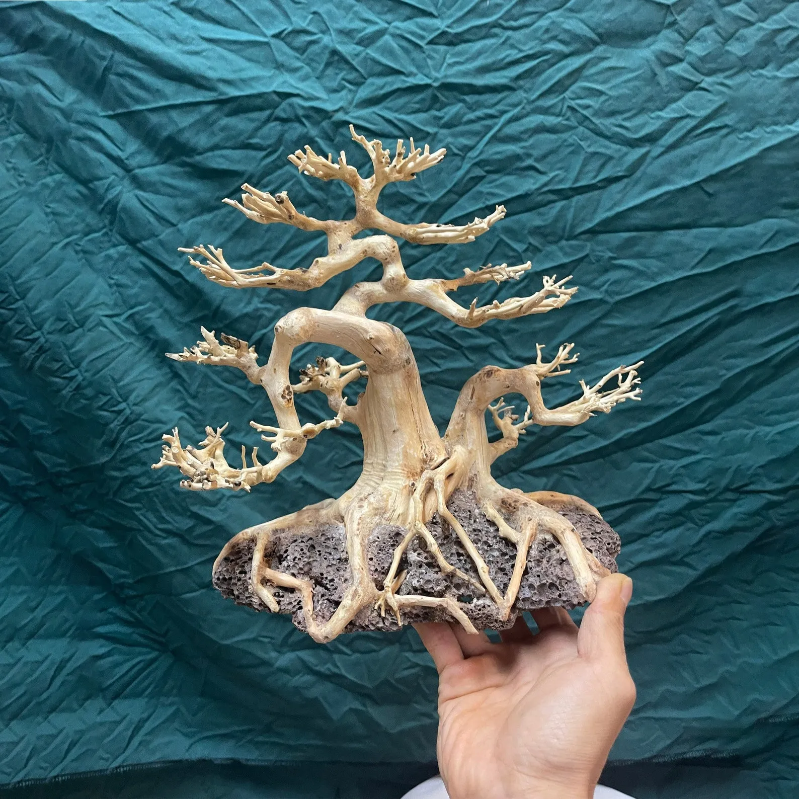 Bonsai driftwood aquarium hardscape rock decor fish tank plants