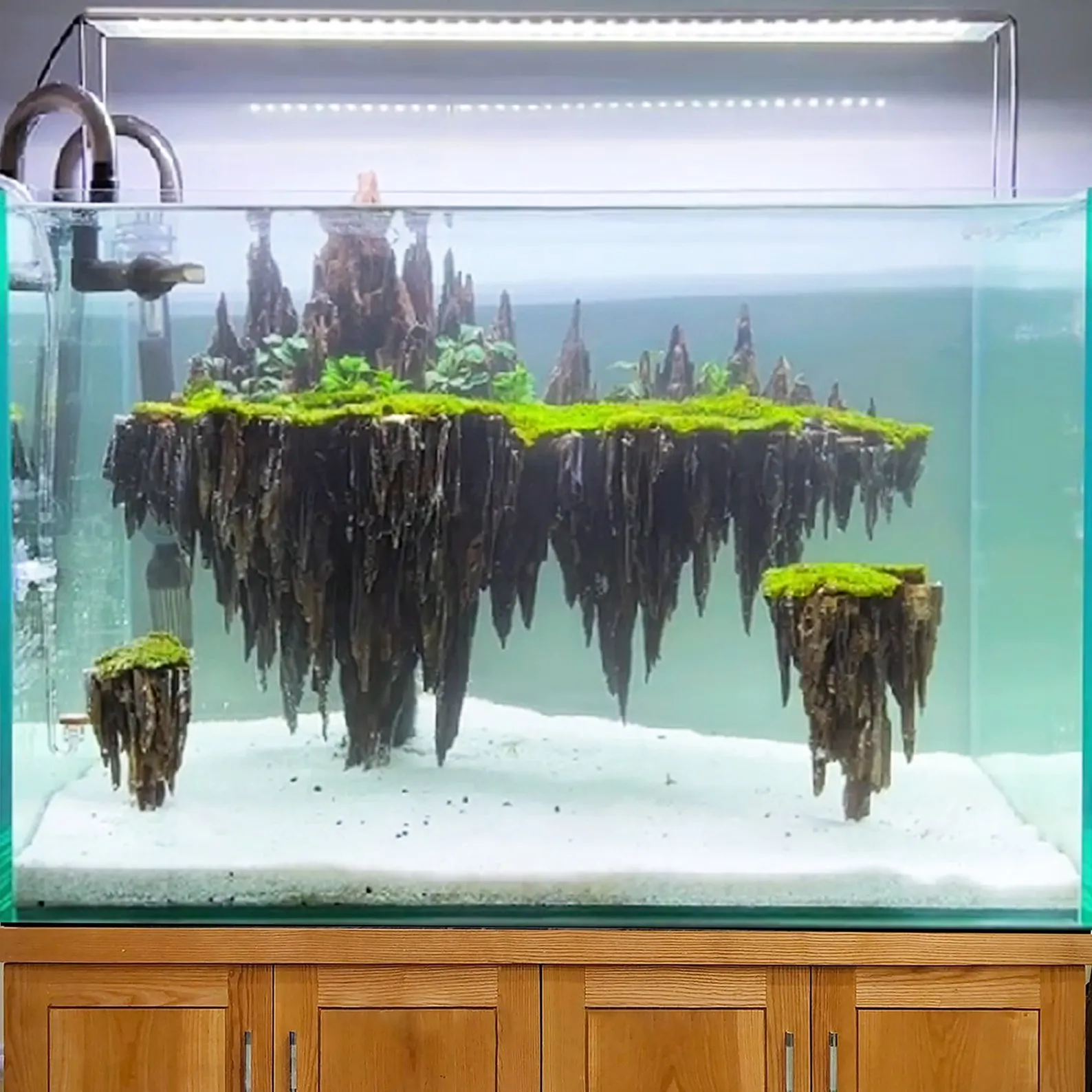 Aquascape driftwood aquarium hardscape bonsai fish tank decoration