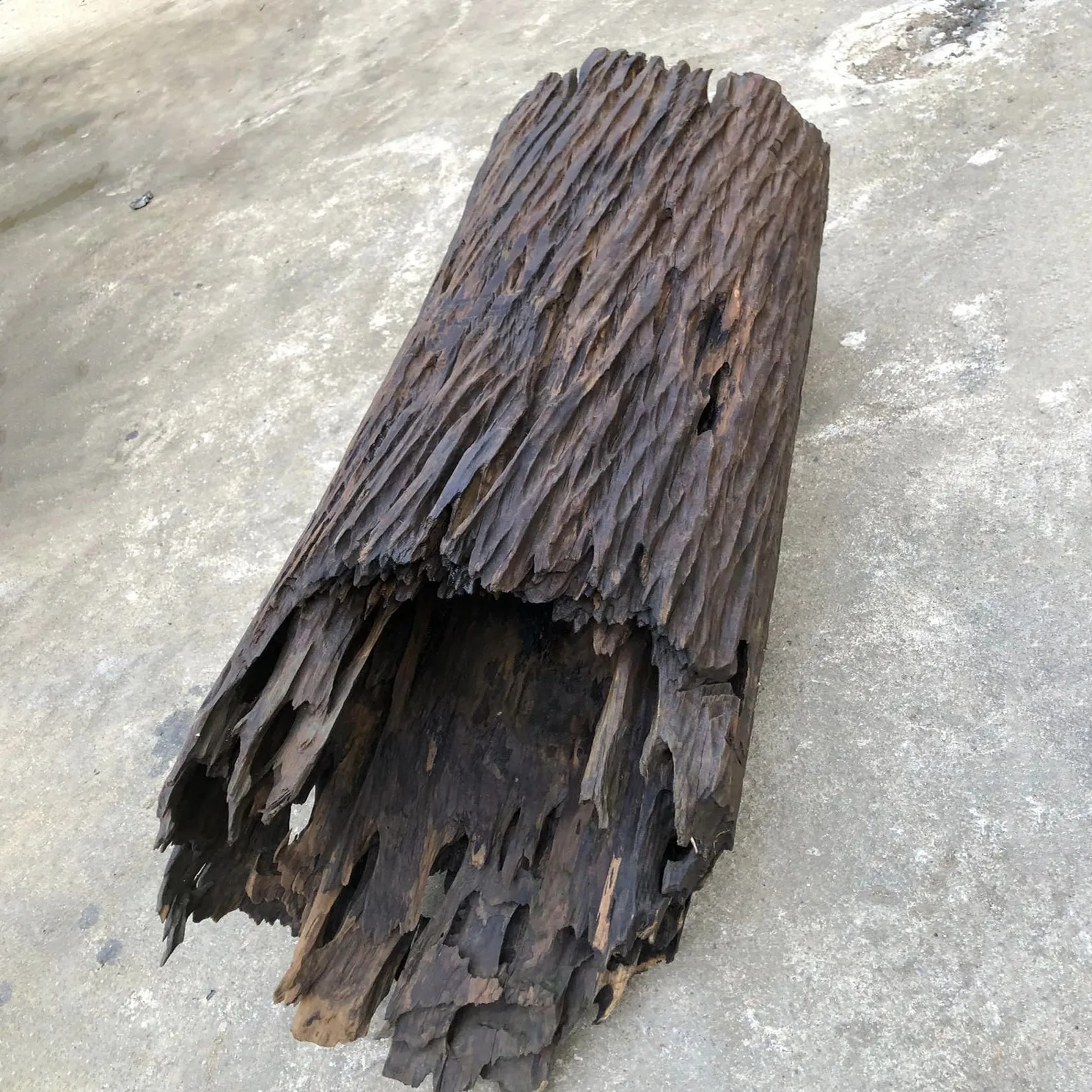 Large hollow driftwood log aquarium drift wood stump tree large aquarium hide fish tank decoration - Image 10