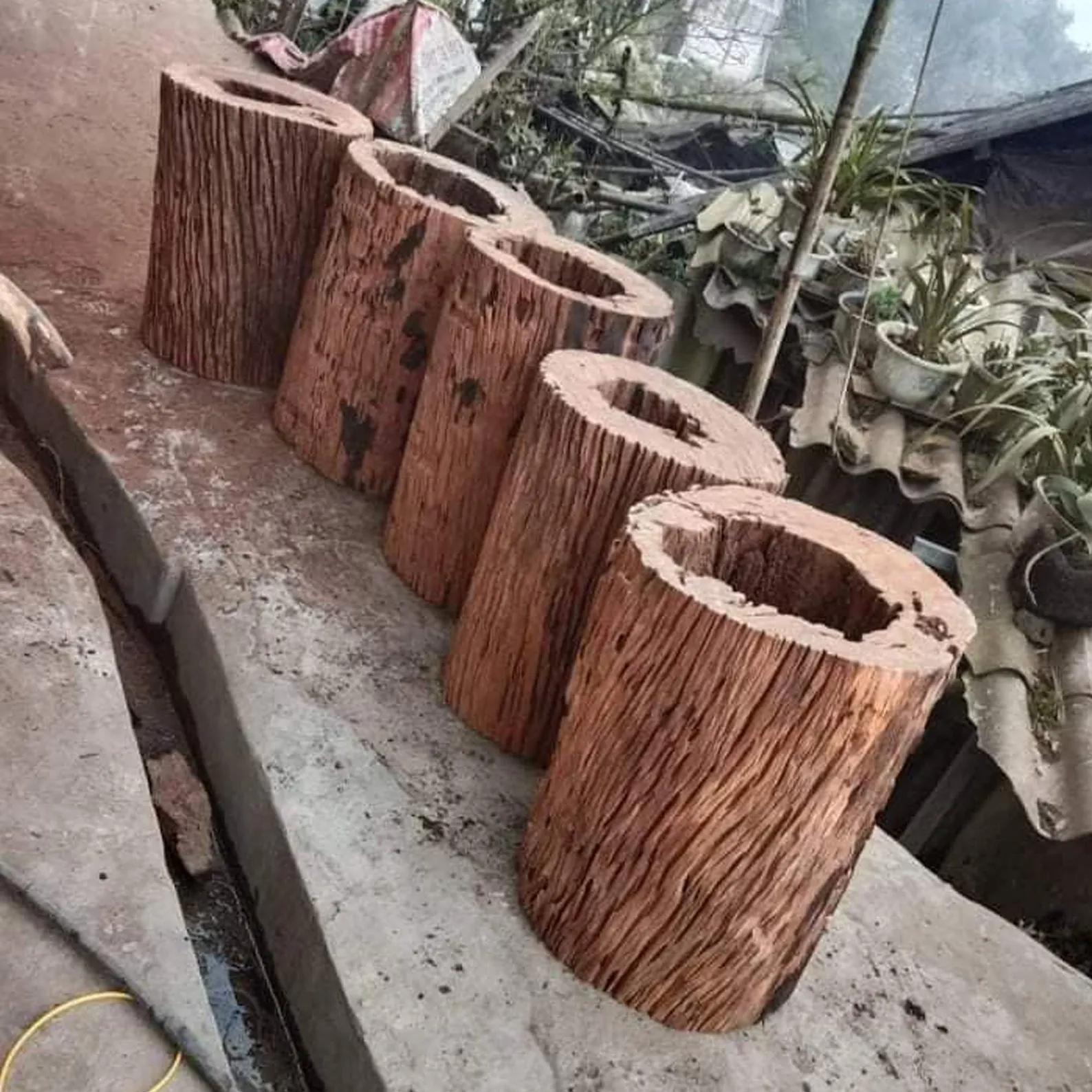 Large hollow driftwood log aquarium drift wood stump tree large aquarium hide fish tank decoration - Image 6