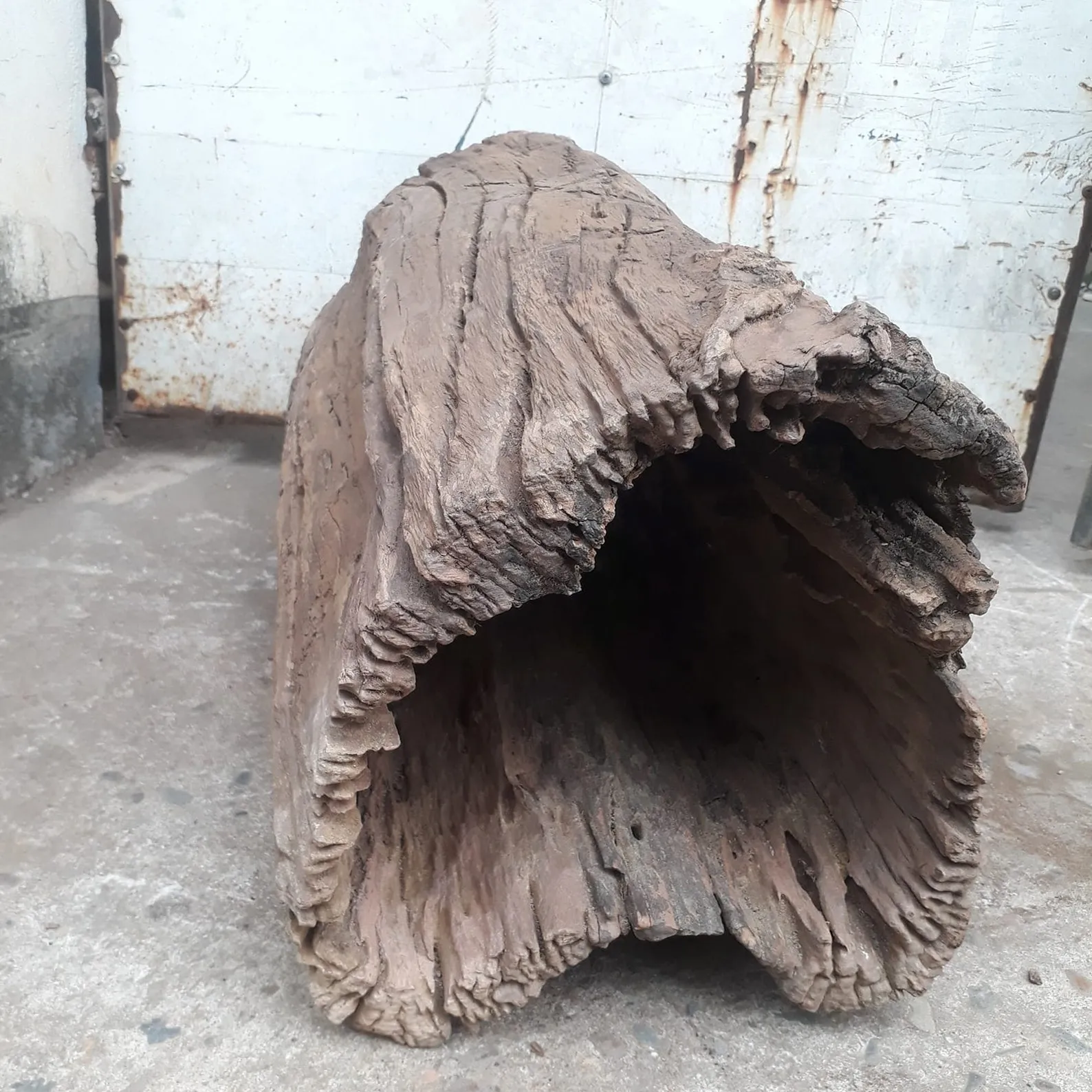 Large hollow driftwood log aquarium drift wood stump tree large aquarium hide fish tank decoration - Image 7
