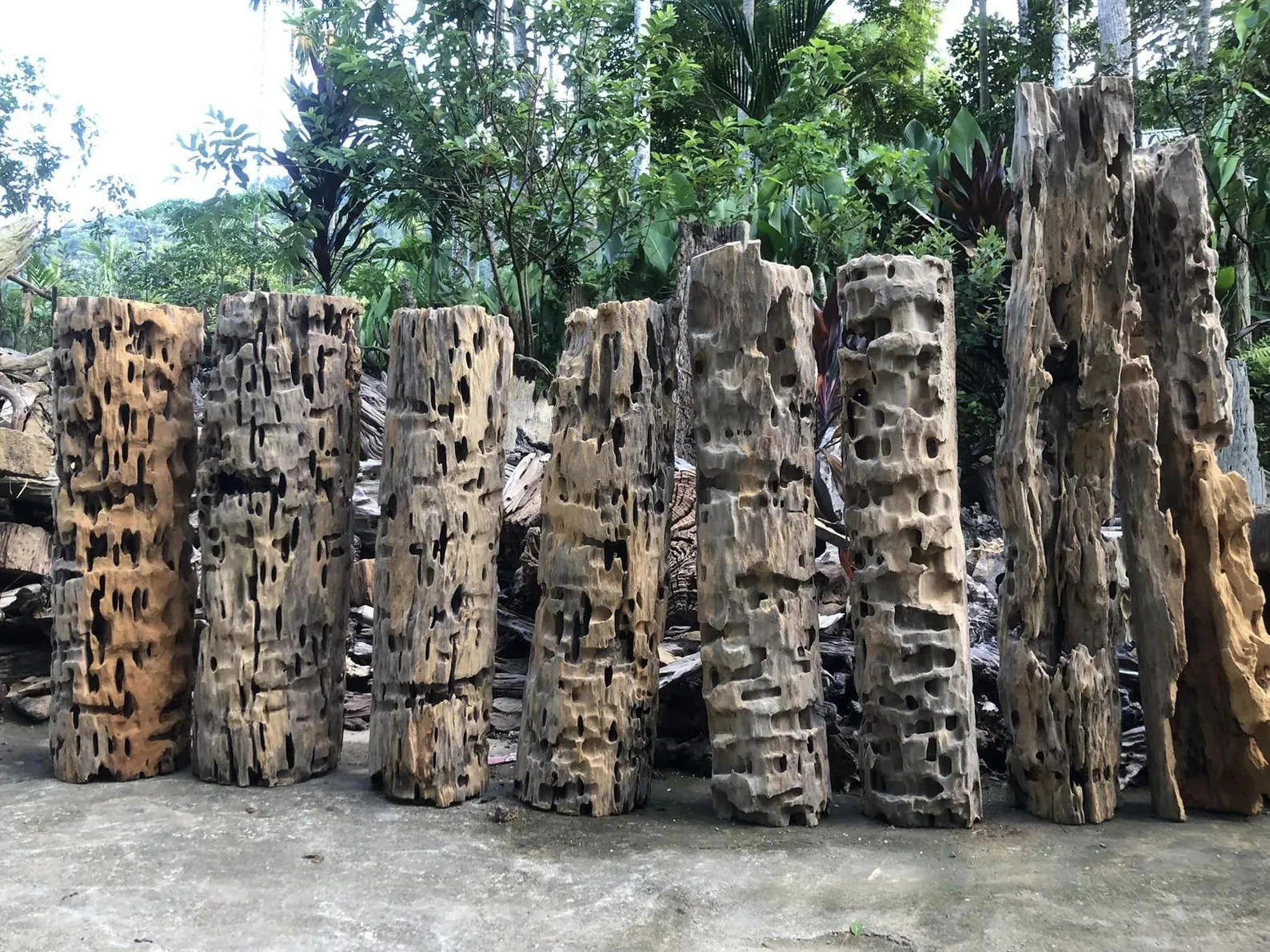 Large hollow driftwood log aquarium drift wood stump tree large aquarium hide fish tank decoration - Image 9