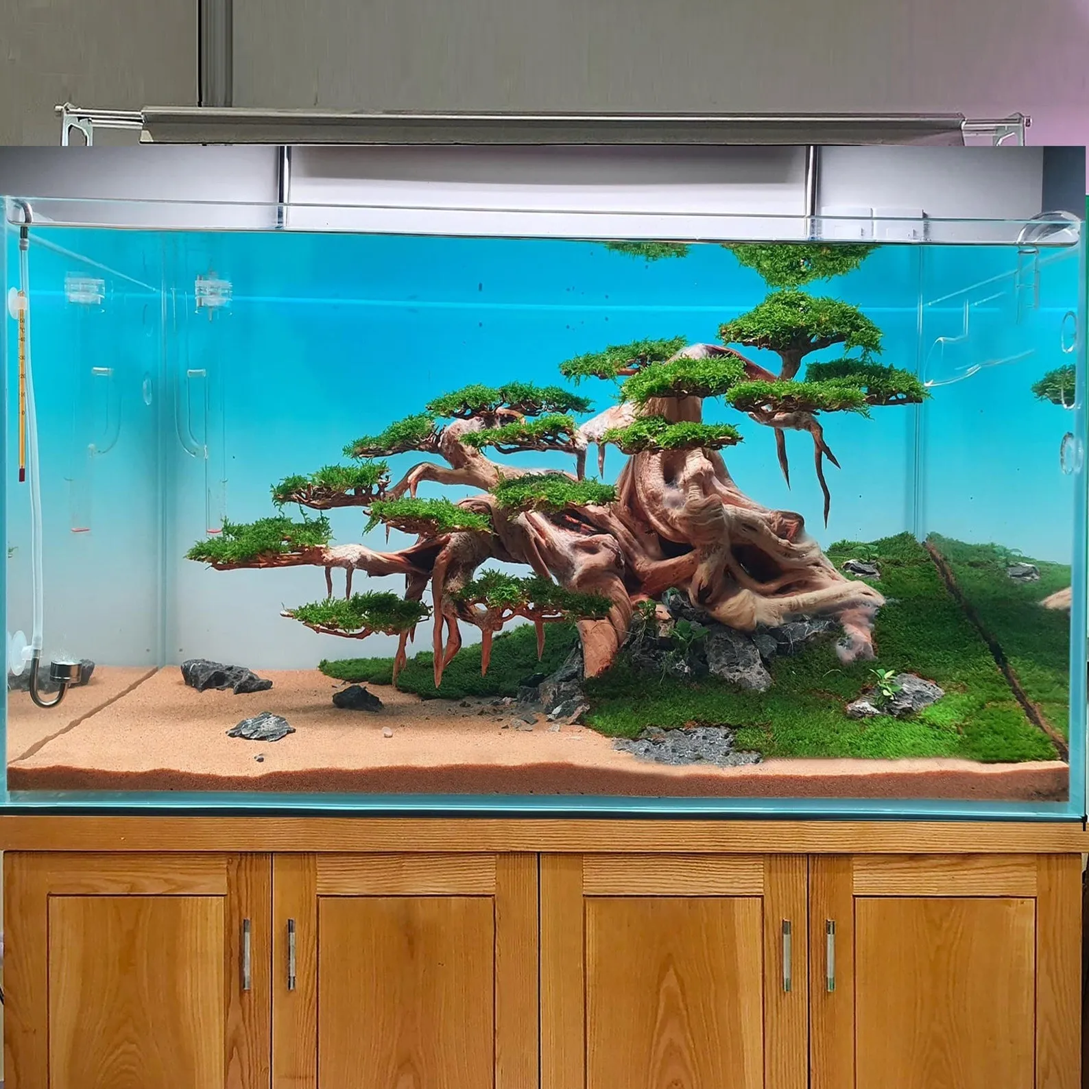 Driftwood Bonsai freshwater aquarium plants for fish tank decorations